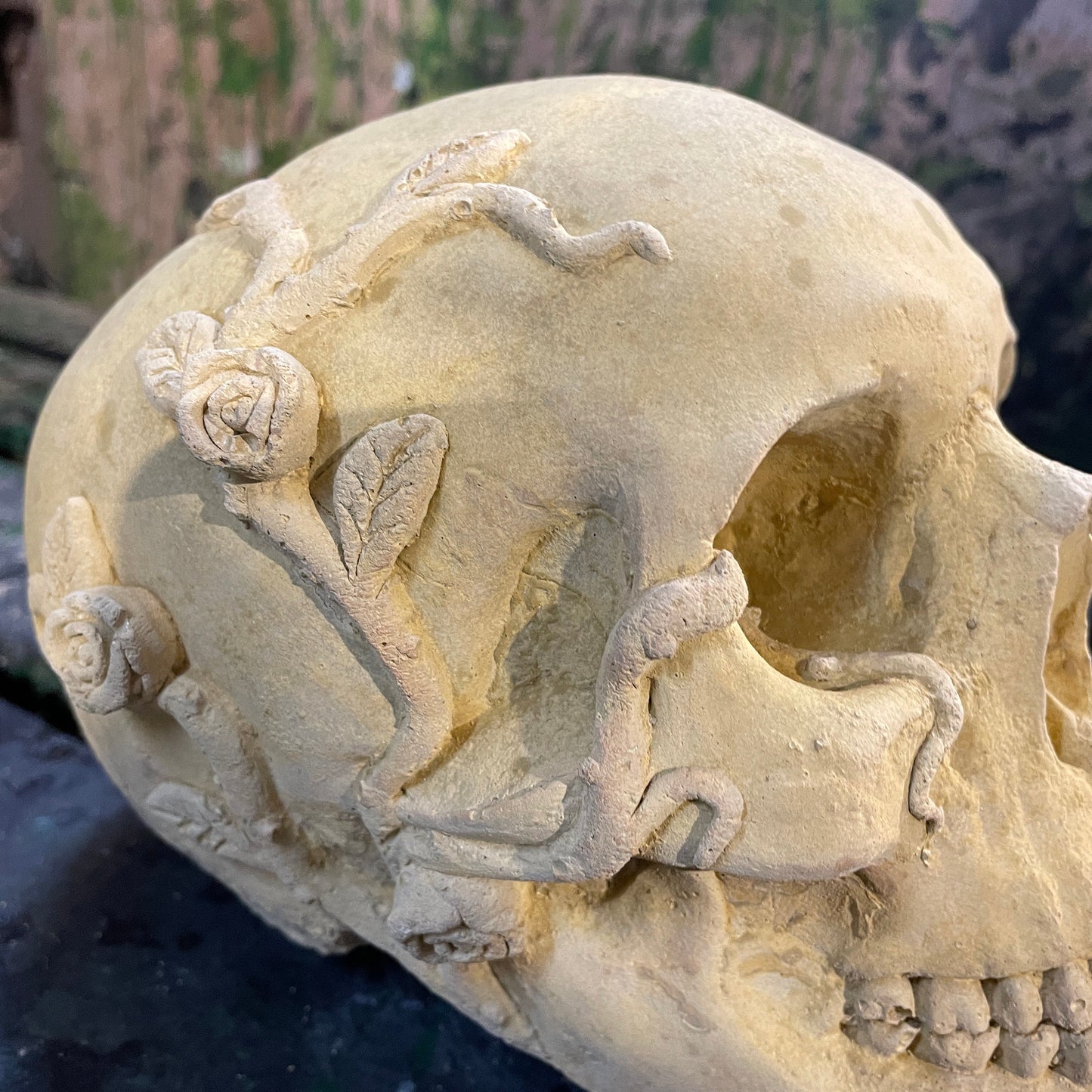 Plain Macabre Gothic Oddity: A Memento Mori Anatomic / Anatomy Skull With Vines & Roses - A Vanitas Sculpture / Death Art Curio