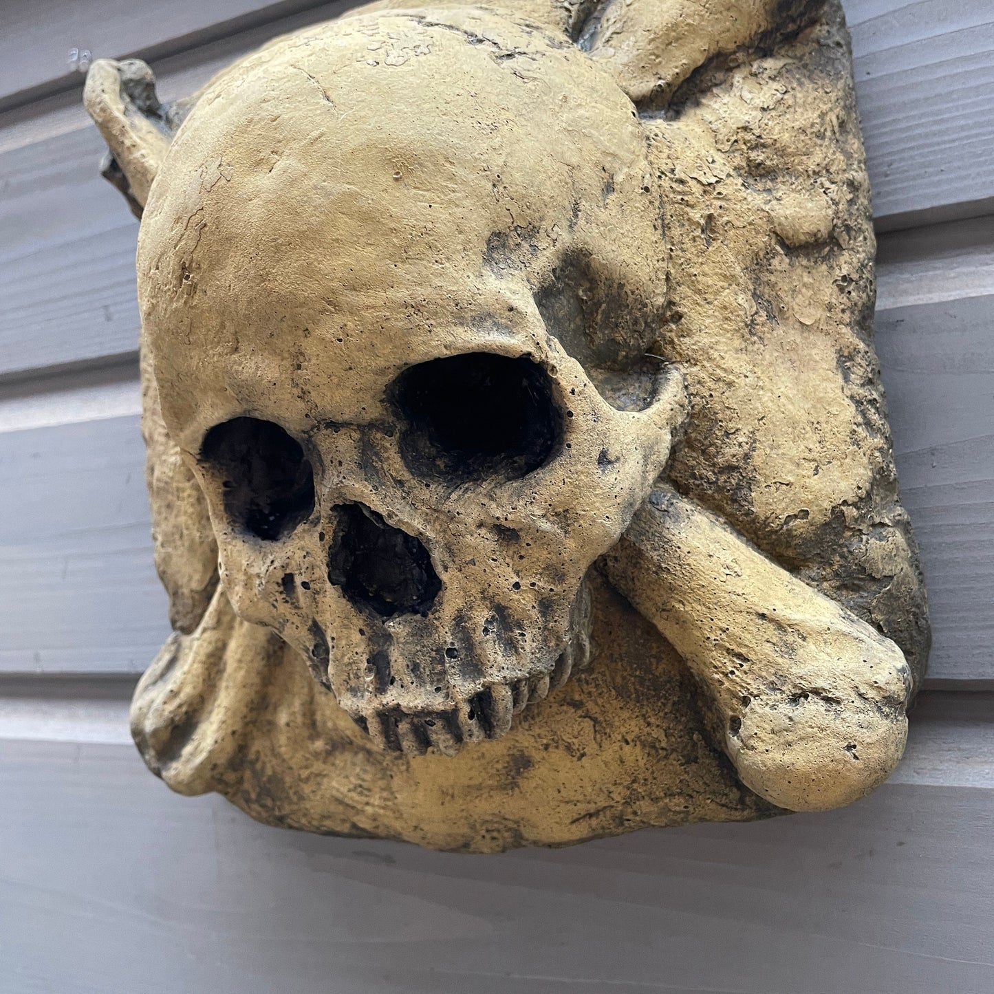 Aged Macabre Gothic Oddity: A Memento Mori Skull & Crossbones Cartouche Sculpture / Vanitas Postmortem Death Mask Art Curio