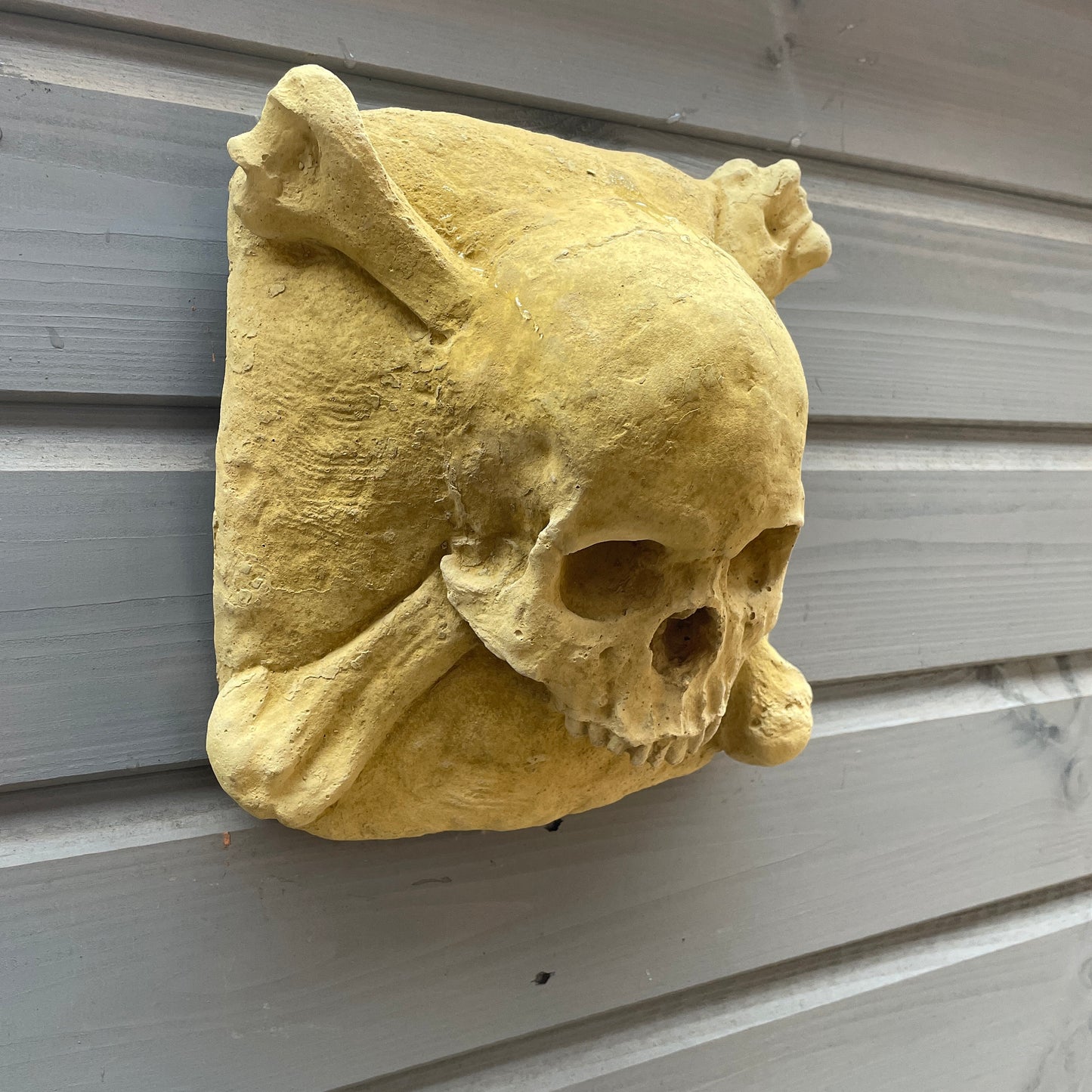 Plain Macabre Gothic Oddity: A Memento Mori Skull & Crossbones Cartouche Sculpture / Vanitas Postmortem Death Mask Art Curio