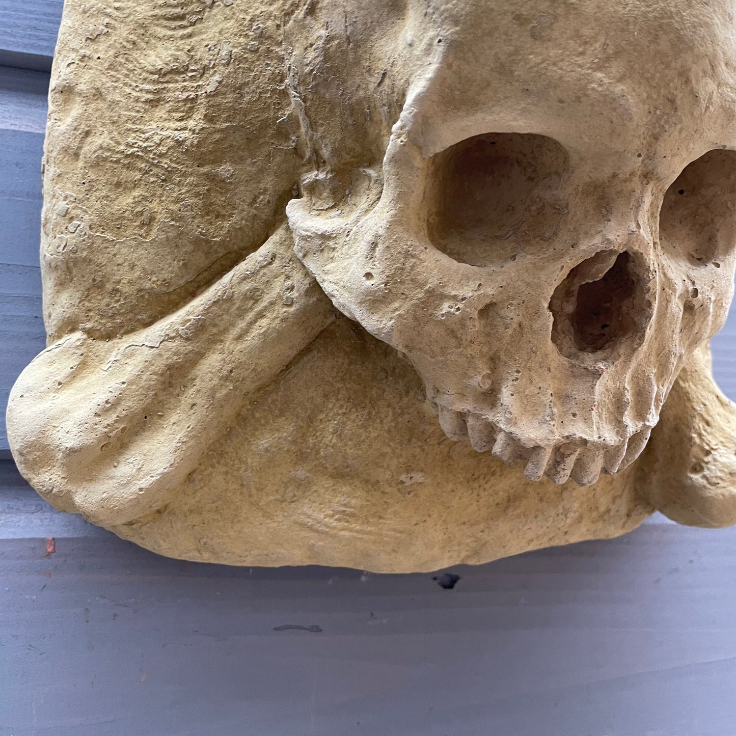 Plain Macabre Gothic Oddity: A Memento Mori Skull & Crossbones Cartouche Sculpture / Vanitas Postmortem Death Mask Art Curio