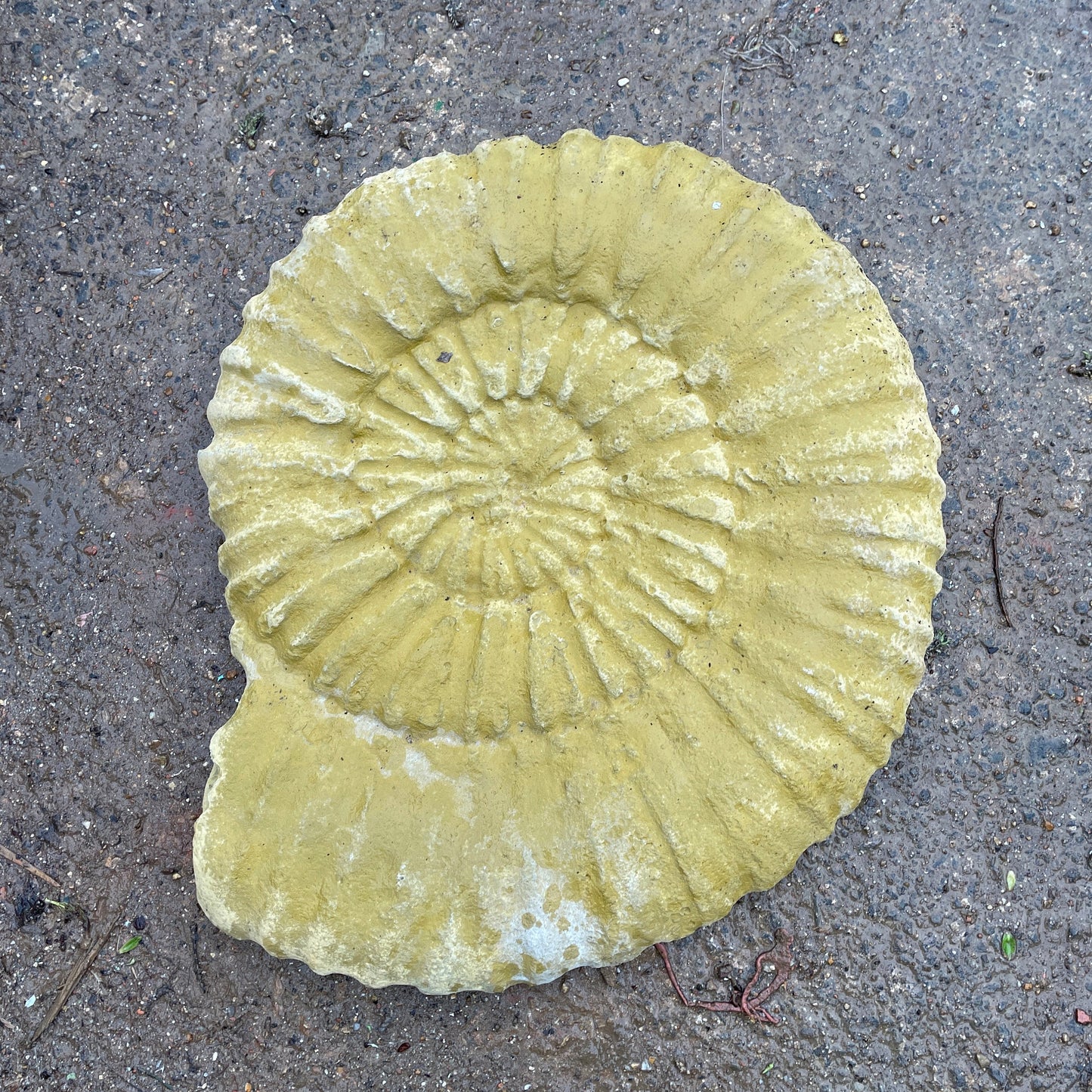 Plain Grand Tour Natural History Hanging Sculpture / Stepping Stone - A Faux Jurassic Ammonite Fossil As A Victorian Curio