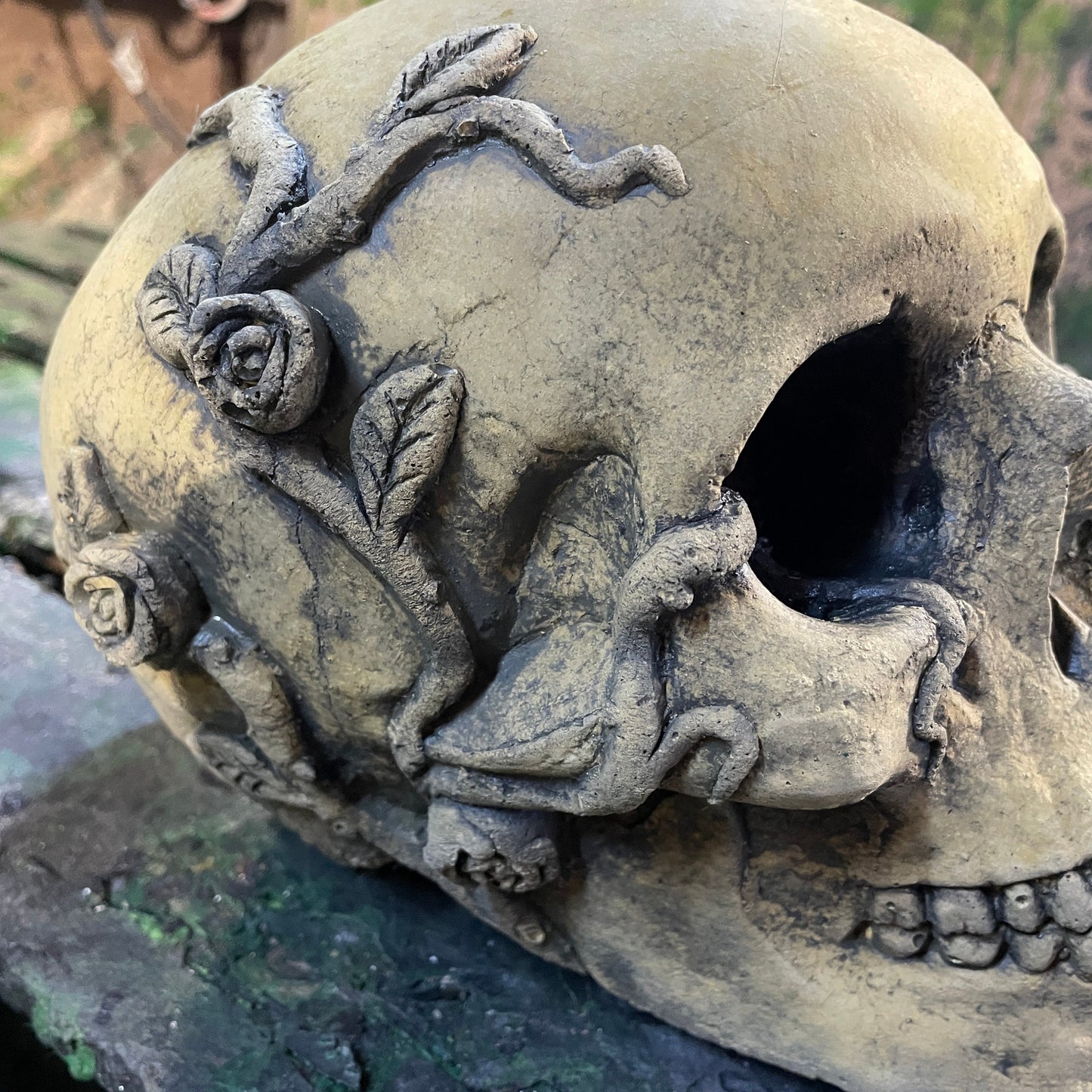 Aged Macabre Gothic Oddity: A Memento Mori Anatomic / Anatomy Skull With Vines & Roses - A Vanitas Sculpture / Death Art Curio