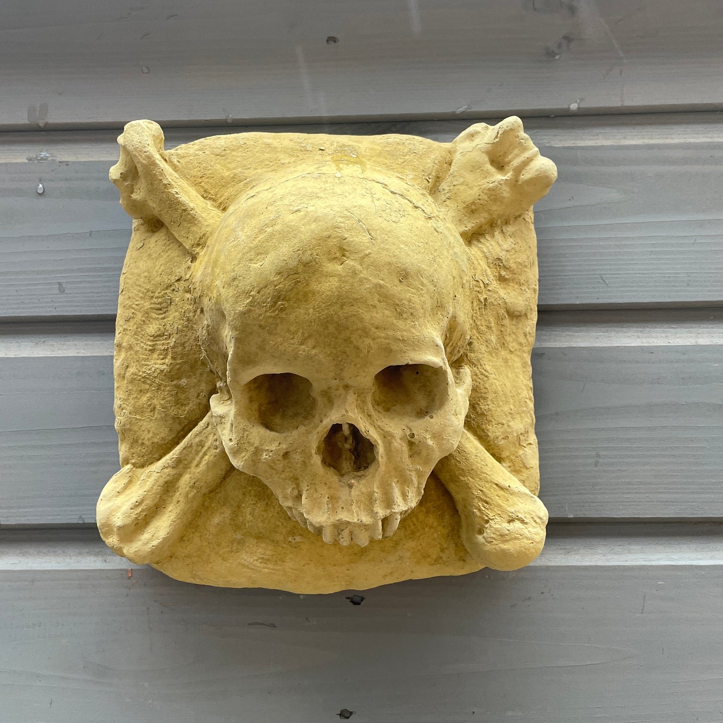Plain Macabre Gothic Oddity: A Memento Mori Skull & Crossbones Cartouche Sculpture / Vanitas Postmortem Death Mask Art Curio