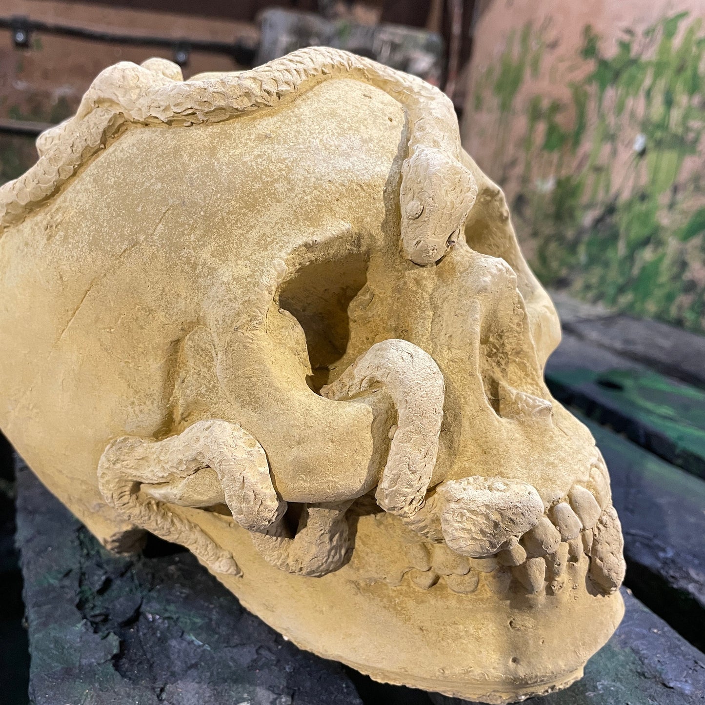 Plain Macabre Gothic Oddity: A Memento Mori Anatomic / Anatomy Skull With Snakes - A Vanitas Sculpture / Death Art Curio