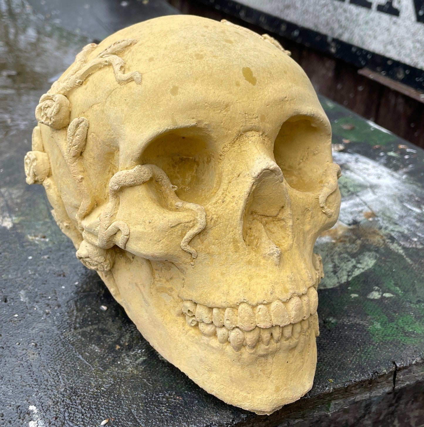Plain Macabre Gothic Oddity: A Memento Mori Anatomic / Anatomy Skull With Vines & Roses - A Vanitas Sculpture / Death Art Curio