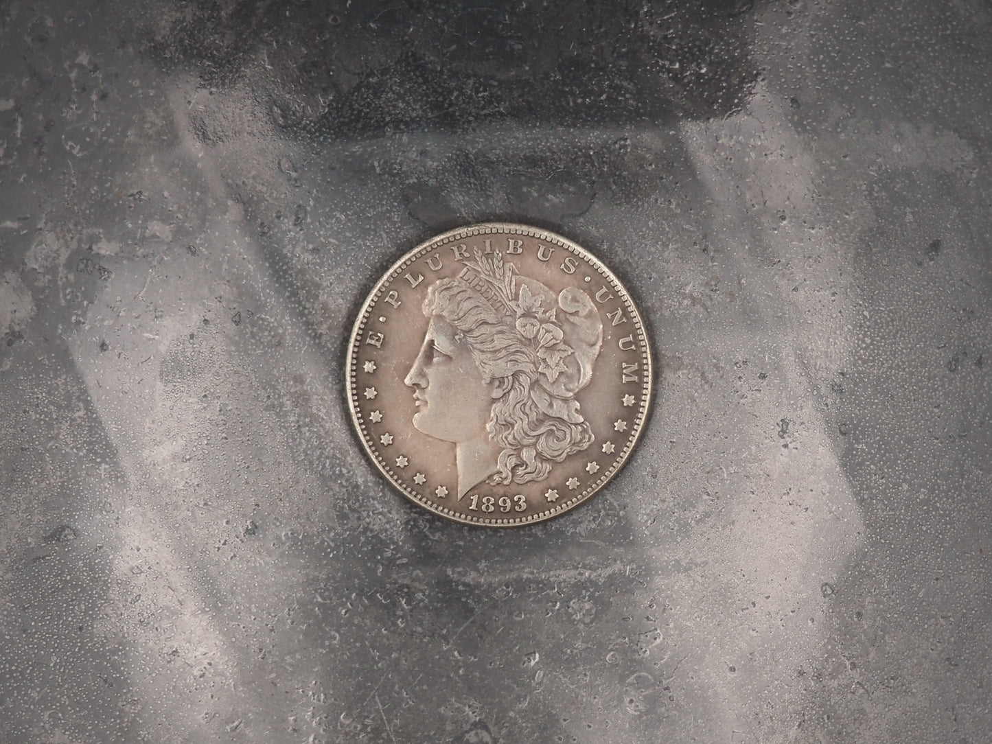 Artist & Nude Still Life Morgan Dollar Replica