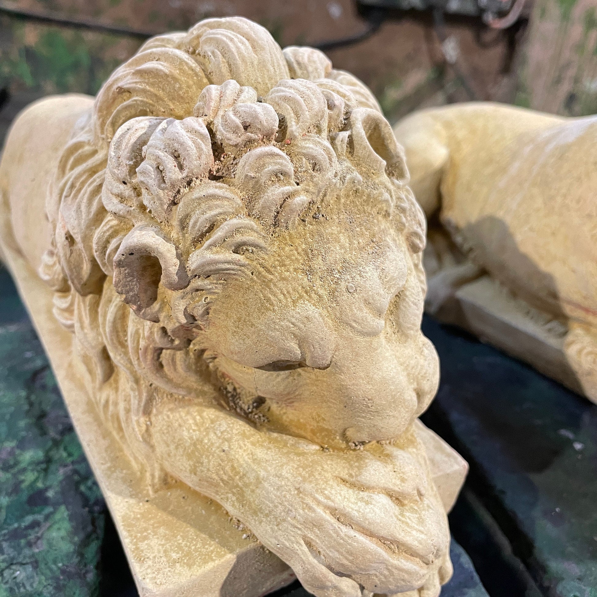 Plain Decorative Italianesque/Romanesque Vanitas Sculpture - Architectural Salvage/Country House Chatsworth Pair of Royal Lions