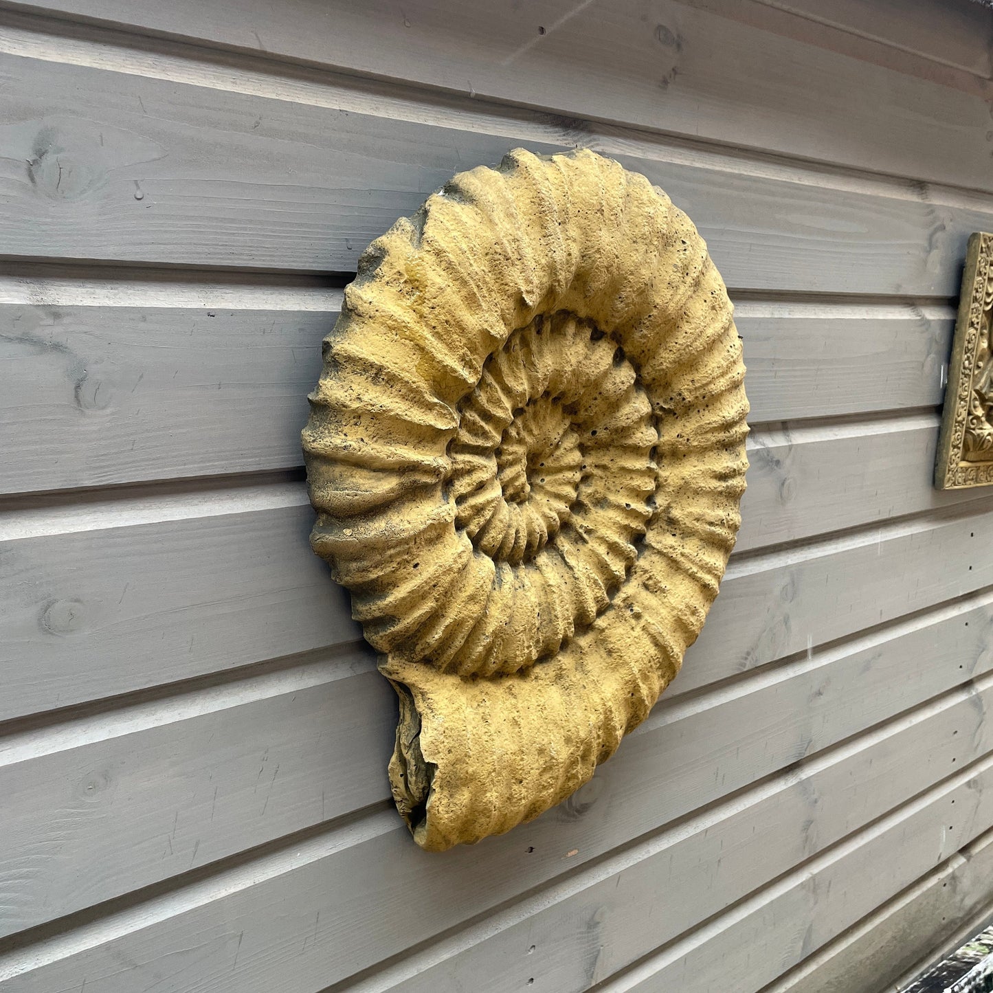 Aged Grand Tour Natural History Hanging Sculpture / Stepping Stone - A Faux Jurassic Ammonite Fossil As A Victorian Curio