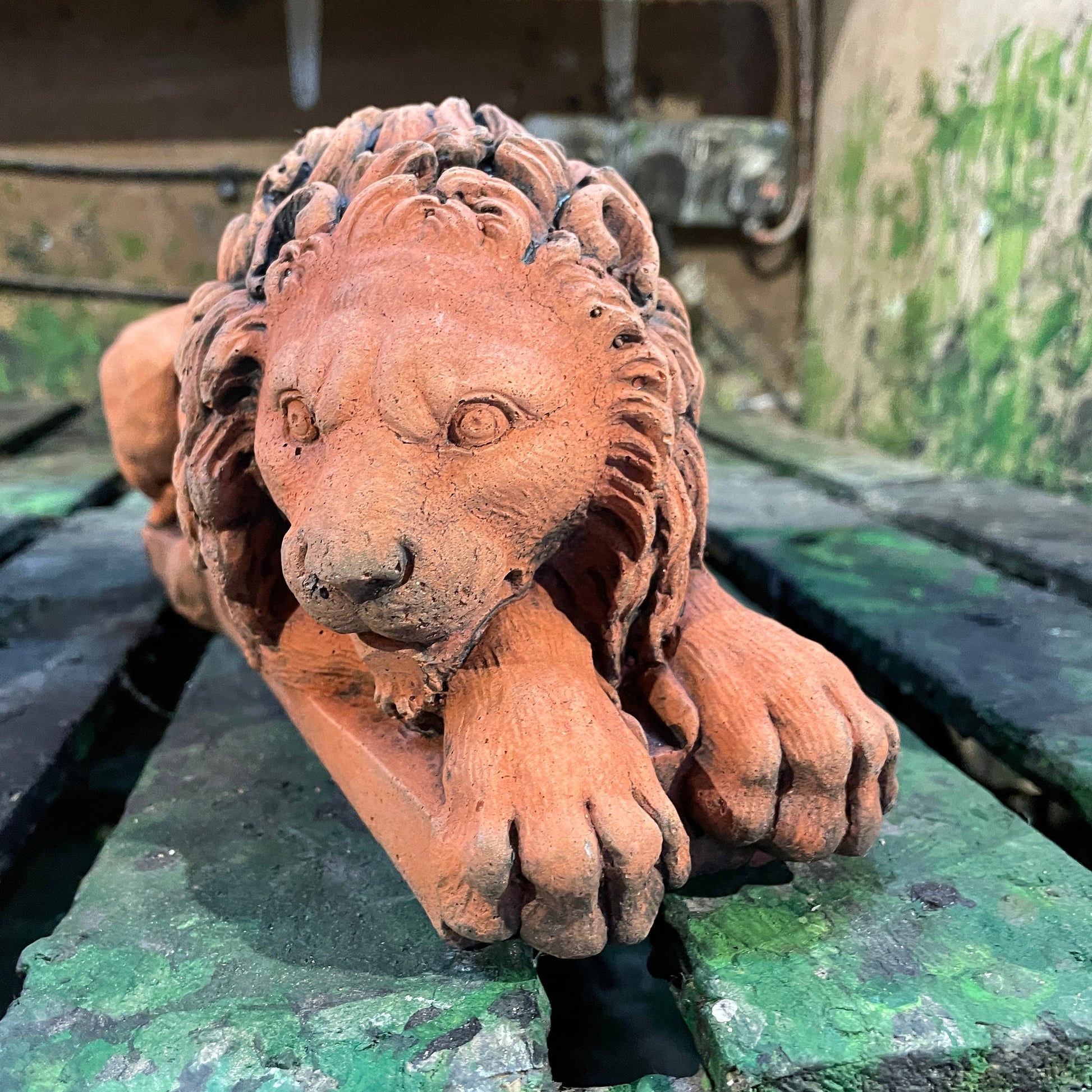 Terracotta Colour Decorative Italianesque/Romanesque Vanitas Sculpture - Architectural Salvage/Country House Chatsworth Pair of Royal Lions