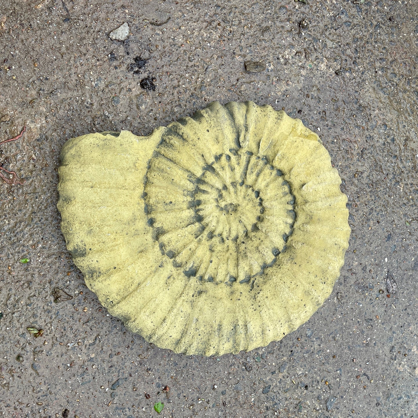 Aged Grand Tour Natural History Hanging Sculpture / Stepping Stone - A Faux Jurassic Ammonite Fossil As A Victorian Curio