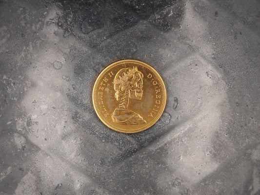 Hand Struck Canadian Dollar Skulled Queen & Goose/Vanitas/MementoMori/Death/With Fine Golden Plating - Replica Coin/Token/Medal