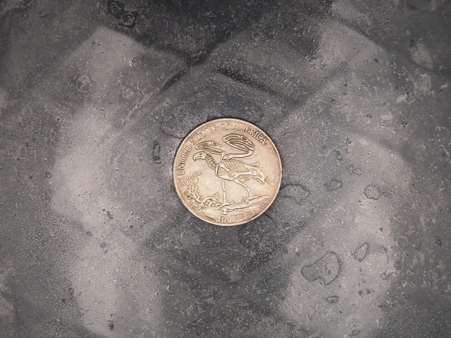 Hand Struck Half Dollar Carved/Hobo/Skeleton Eagle/Vanitas/MementoMori/Death .999 Silver Plated Replica Coin/Token/Medal