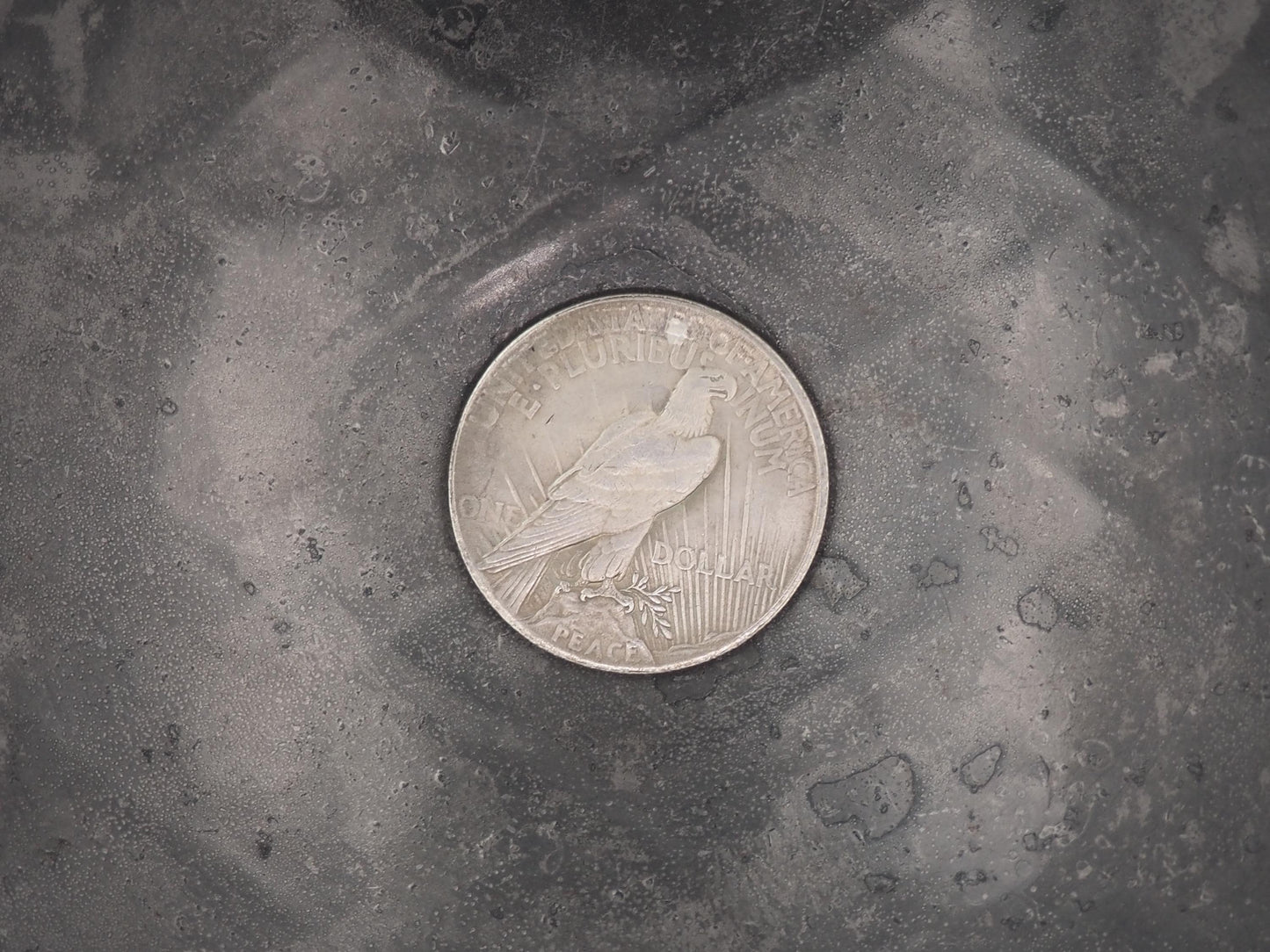 Hand Struck One Dollar Liberty Medusa - Peace Dollar - Memento Mori Snake Vanitas .999 Silver Plated Peace Dollar Coin/Token/Medal