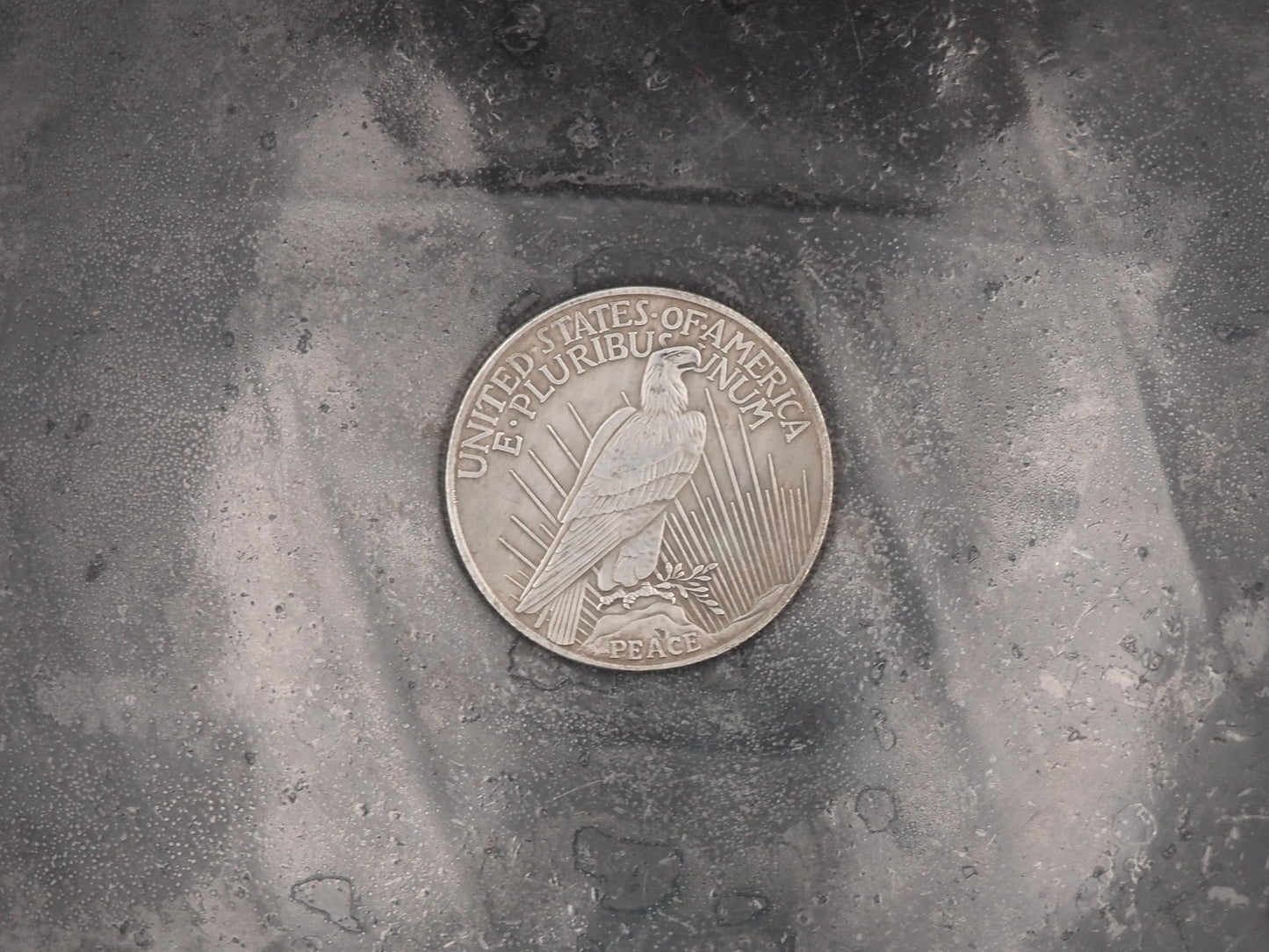 Hand Struck One Dollar Topless Skeleton - Peace Dollar - Erotic Artistic Lady Profile .999 Silver Plated Peace Dollar Coin/Token/Medal