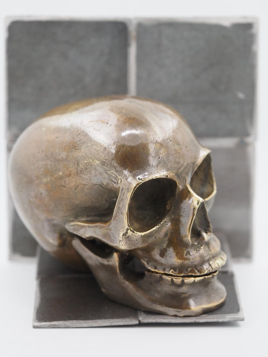 Anatomical Polished Bronze Macabre Gothic Oddity: A Memento Mori Vanitas Skull Solid Metal Cast Sculpture / Postmortem Death Mask Art Curio