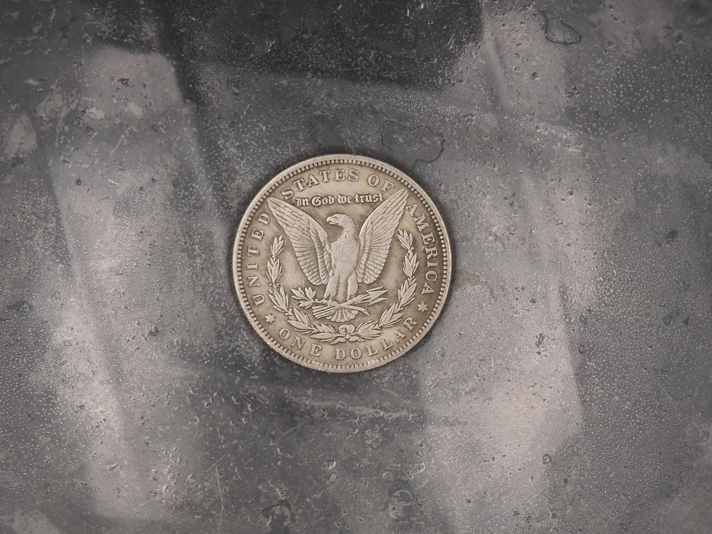 Hand Struck Morgan Hobo Dollar - Vitruvian Man By Italian Renaissance Artist & Scientist Leonardo Da Vinci - Coin/Token/Medal