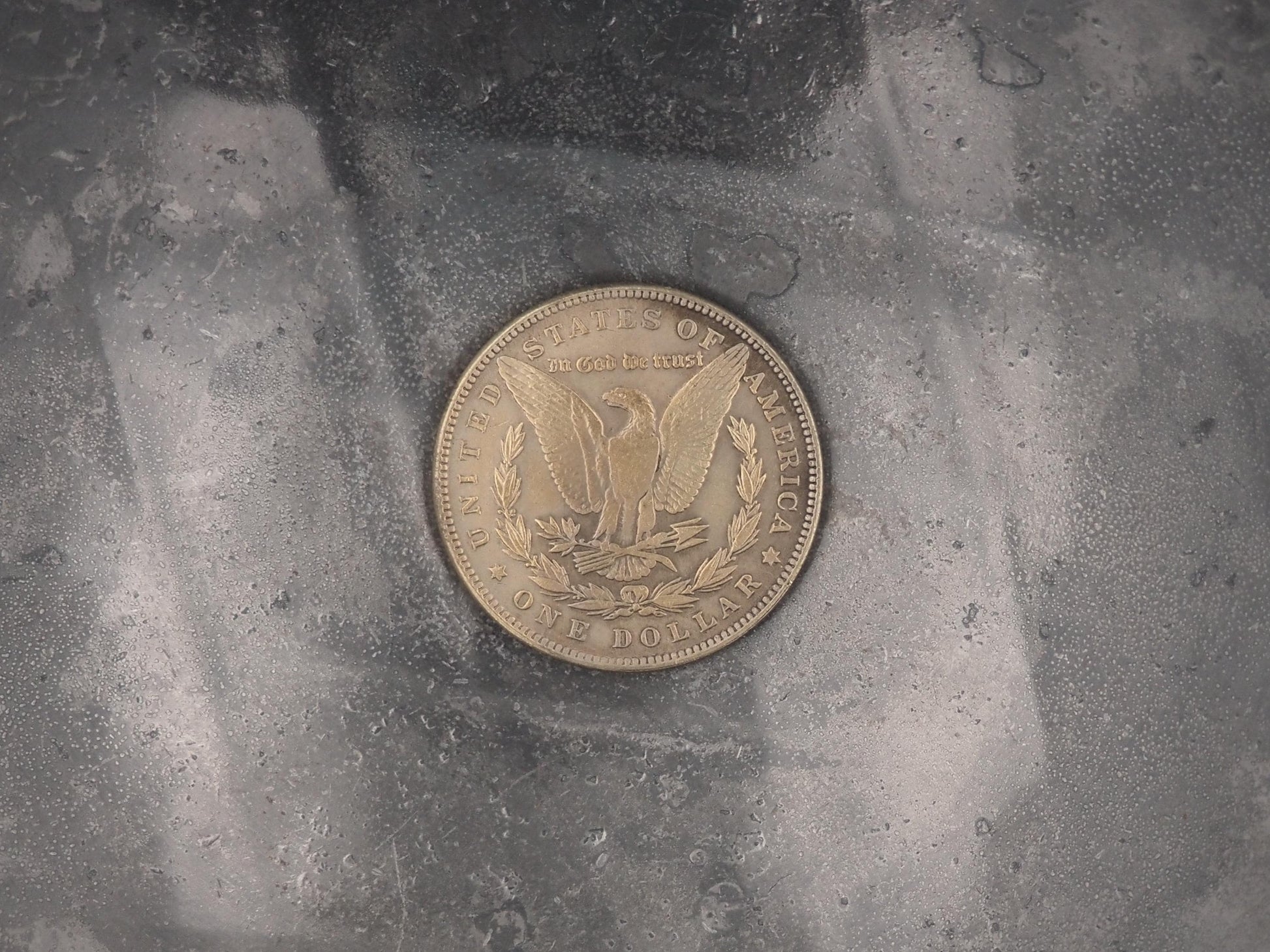 Hand Struck Morgan Silver Dollar - Moth Head Demon With Its Tendrils - Spirit/Apocalypse/Rapture/D&D, RPG, MTG Gaming Coin/Token/Medal