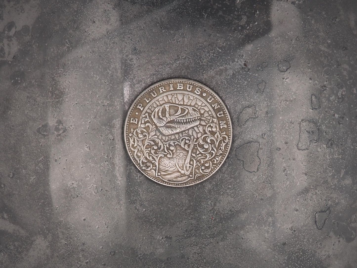 Hand Struck Morgan Silver Dollar Carved Tyrannosaurus Rex (T-Rex) Dinosaur Skull Bones Fossil - Paleontology - Archaeology Coin