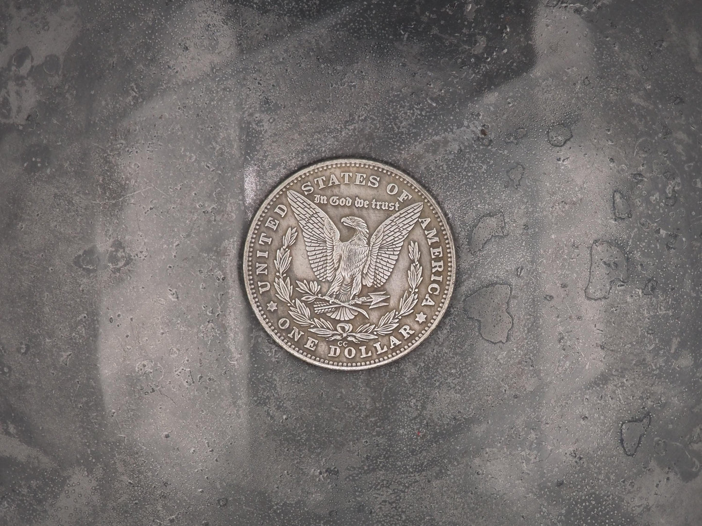 Hand Struck Morgan Silver Dollar Carved Tyrannosaurus Rex (T-Rex) Dinosaur Skull Bones Fossil - Paleontology - Archaeology Coin