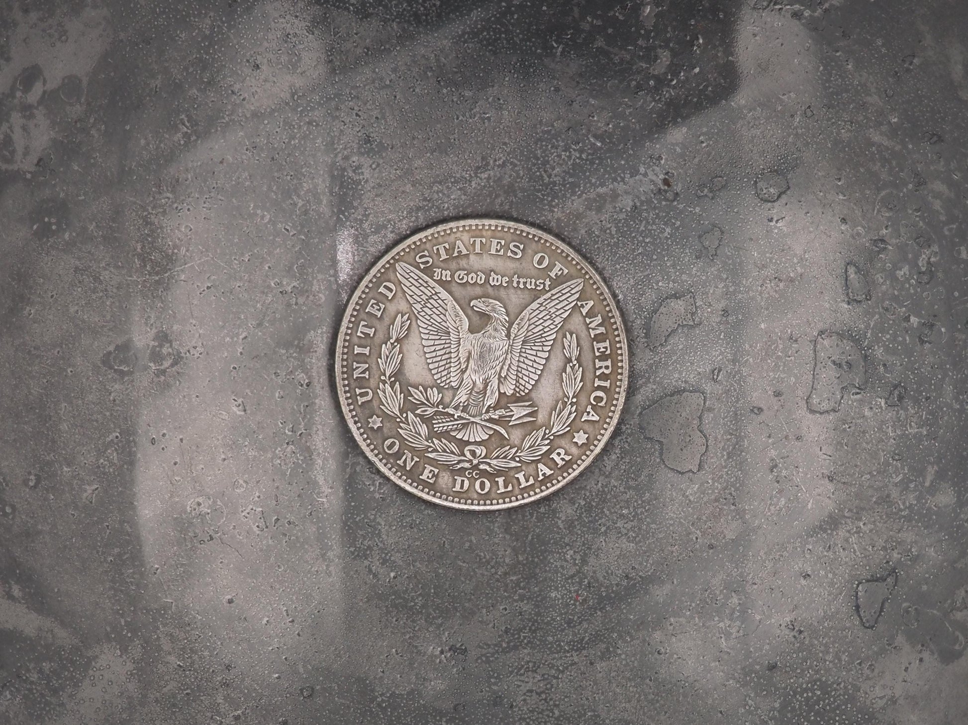Hand Struck Morgan Silver Dollar Carved Tyrannosaurus Rex (T-Rex) Dinosaur Skull Bones Fossil - Paleontology - Archaeology Coin