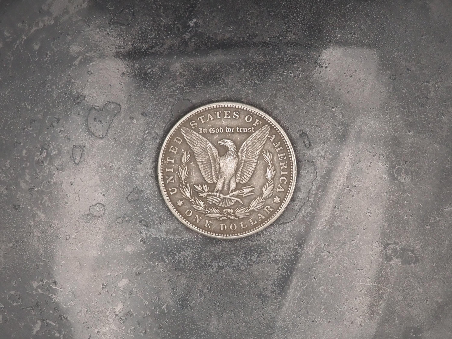 Hand Struck Morgan Silver Dollar Carved African Elephant Replica Coin/Token/Medal