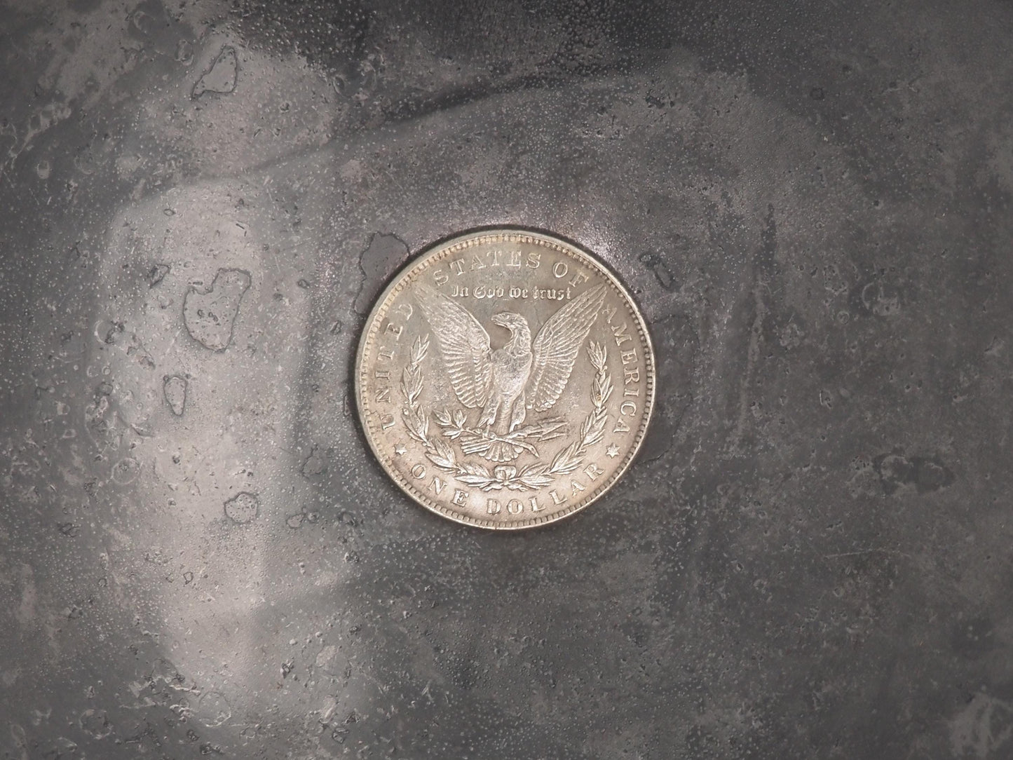 Hand Struck Morgan Silver Dollar Snake Brutalist Sigil