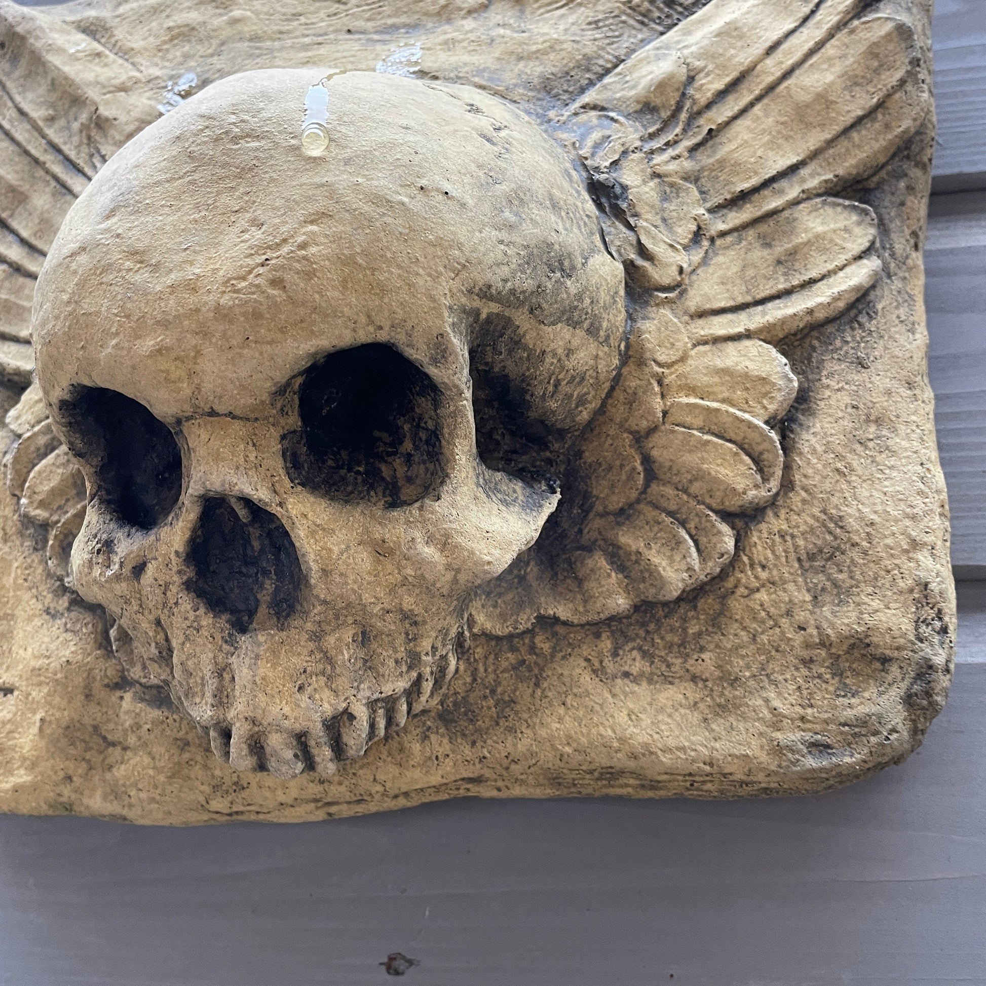 Aged Masonic Curiosity / Oddity: A Memento Mori Skull Angel Winged Cartouche Sculpture / Vanitas Gothic Death Art Curio