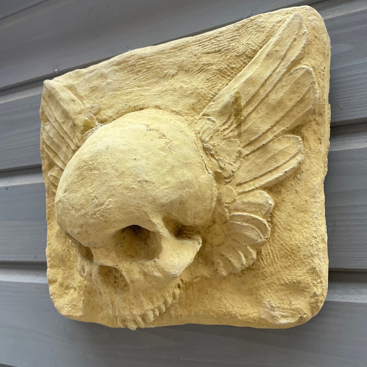 Plain Masonic Curiosity / Oddity: A Memento Mori Skull Angel Winged Cartouche Sculpture / Vanitas Gothic Death Art Curio