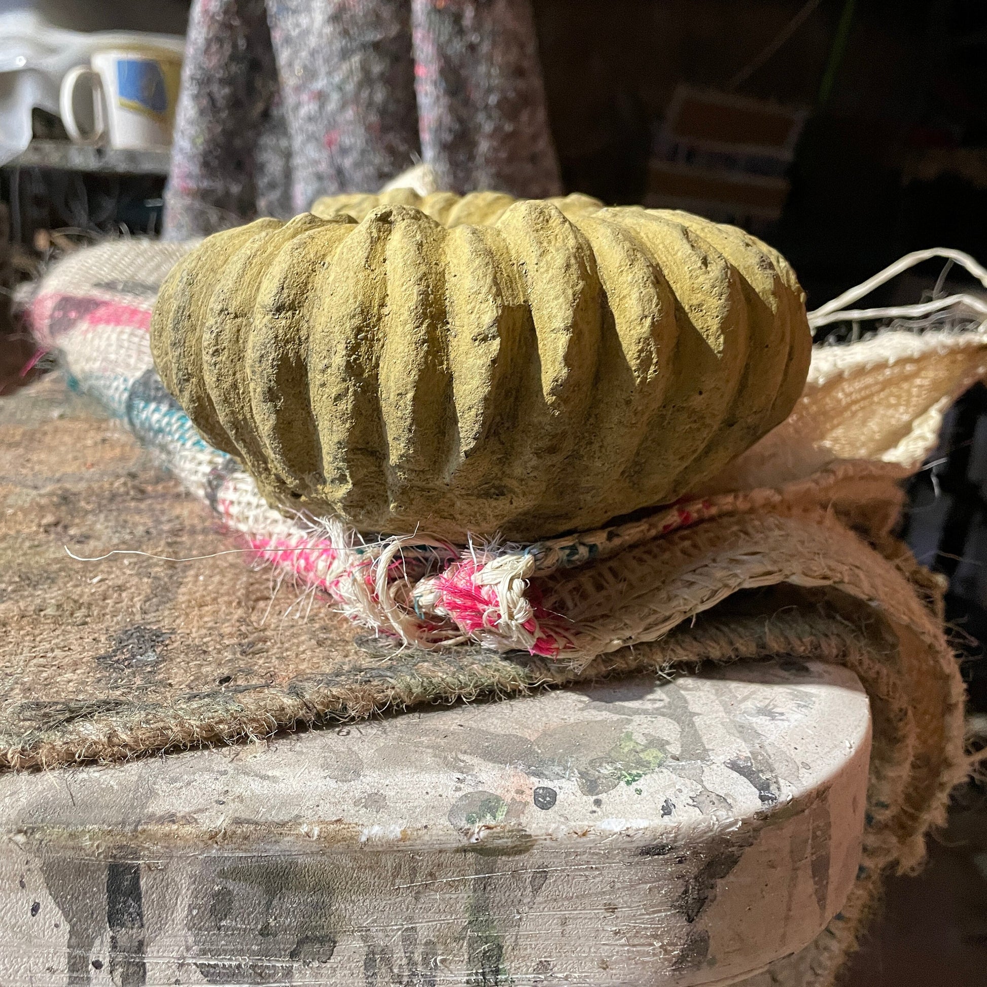 Aged Grand Tour Natural History Sculpture - A Faux Jurassic Ammonite Fossil As A Victorian Curio
