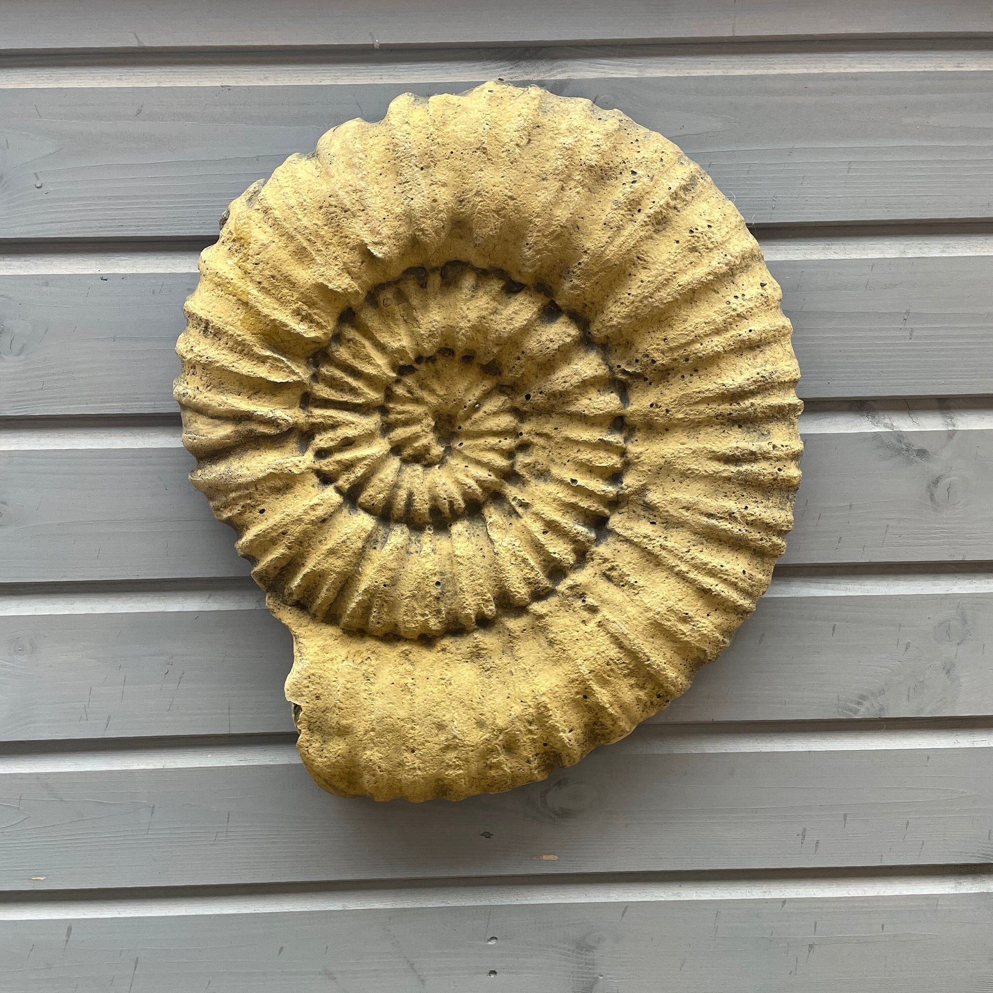 Aged Grand Tour Natural History Hanging Sculpture / Stepping Stone - A Faux Jurassic Ammonite Fossil As A Victorian Curio