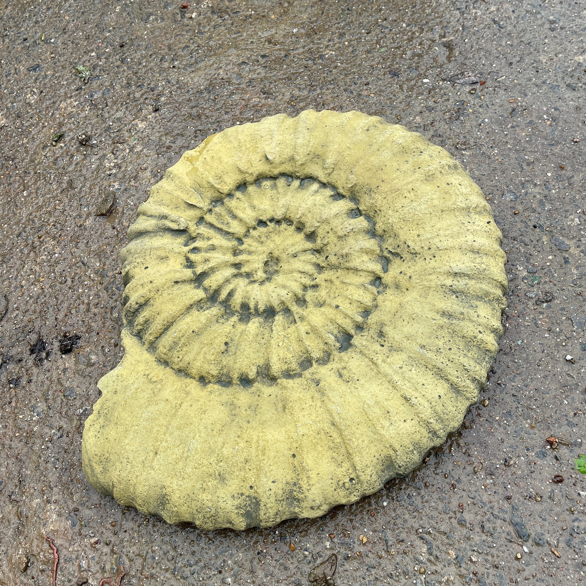 Aged Grand Tour Natural History Hanging Sculpture / Stepping Stone - A Faux Jurassic Ammonite Fossil As A Victorian Curio