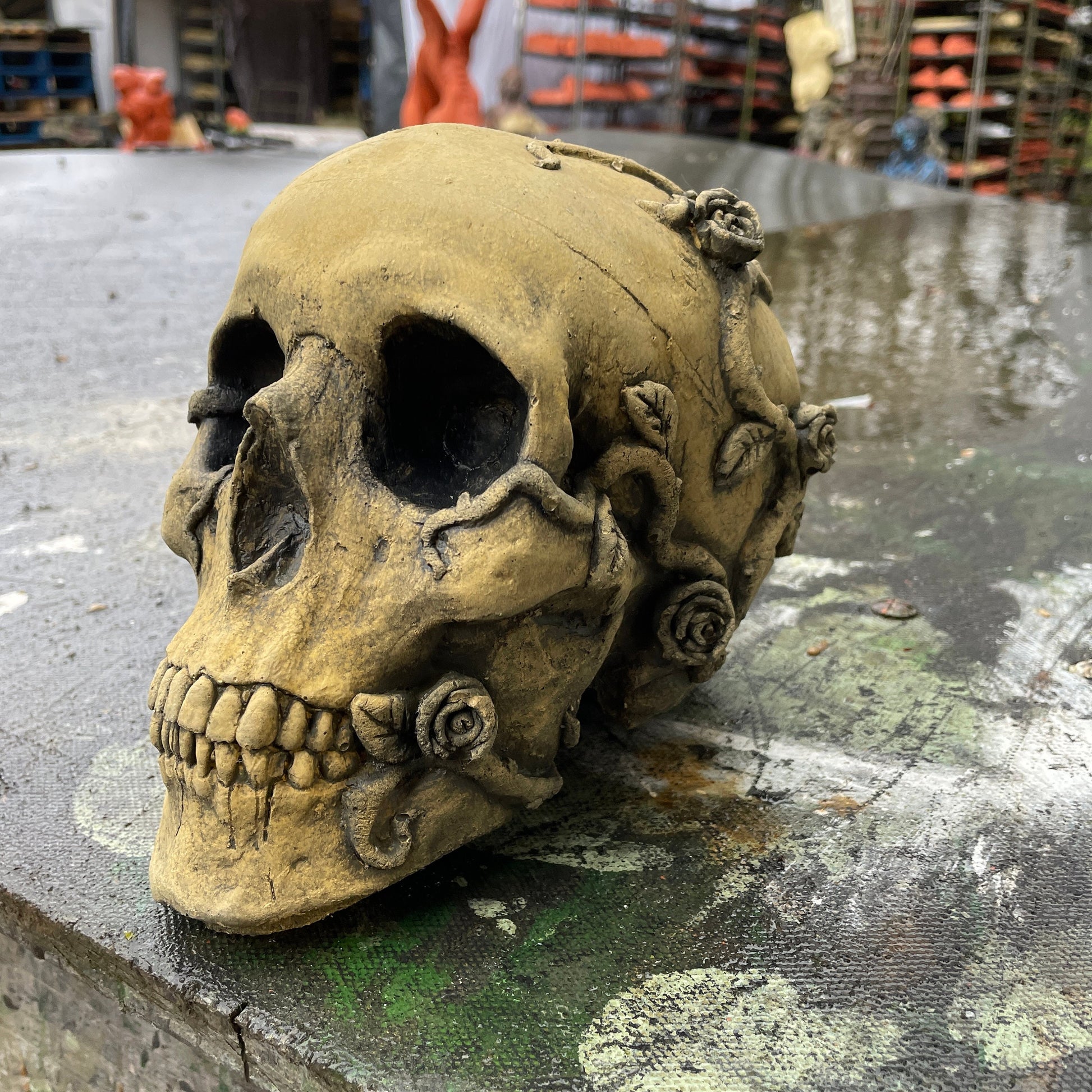 Aged Macabre Gothic Oddity: A Memento Mori Anatomic / Anatomy Skull With Vines & Roses - A Vanitas Sculpture / Death Art Curio