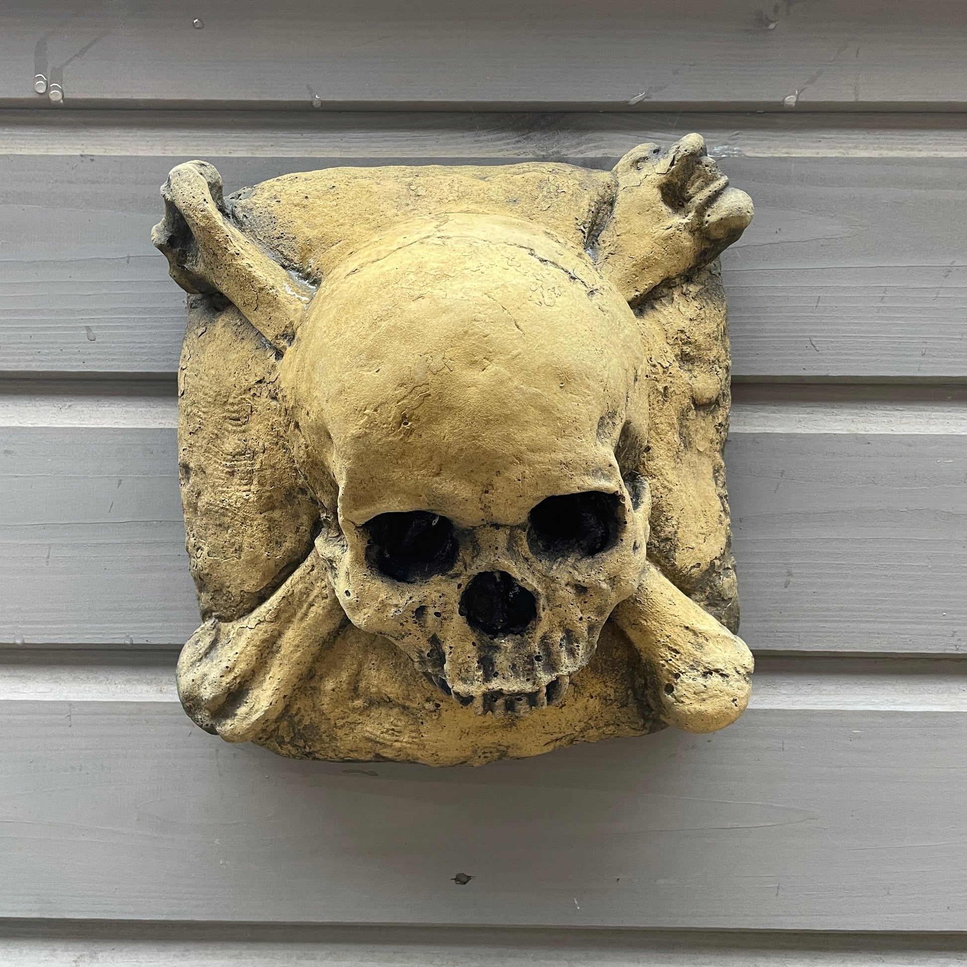 Aged Macabre Gothic Oddity: A Memento Mori Skull & Crossbones Cartouche Sculpture / Vanitas Postmortem Death Mask Art Curio