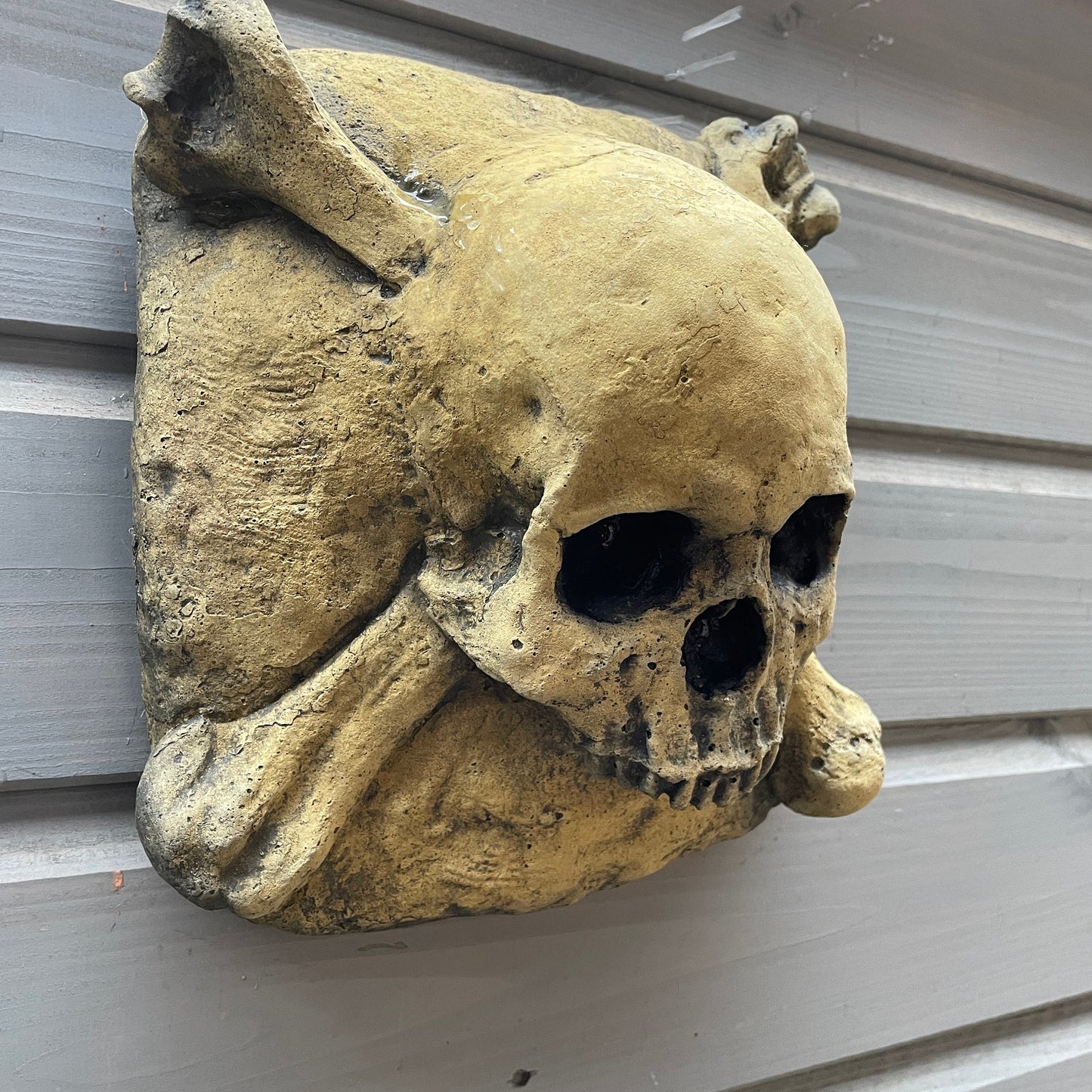Aged Macabre Gothic Oddity: A Memento Mori Skull & Crossbones Cartouche Sculpture / Vanitas Postmortem Death Mask Art Curio