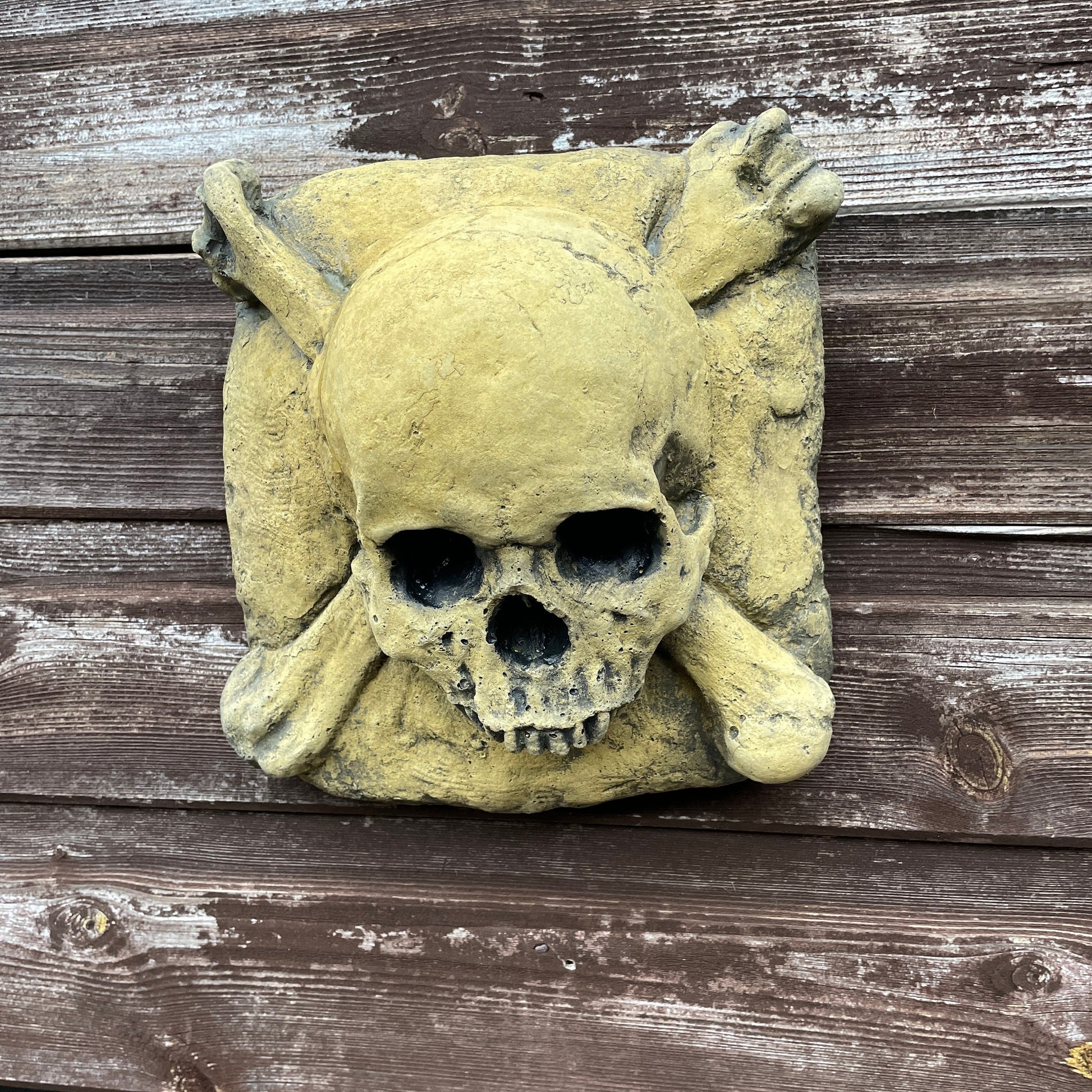 Aged Macabre Gothic Oddity: A Memento Mori Skull & Crossbones Cartouche Sculpture / Vanitas Postmortem Death Mask Art Curio
