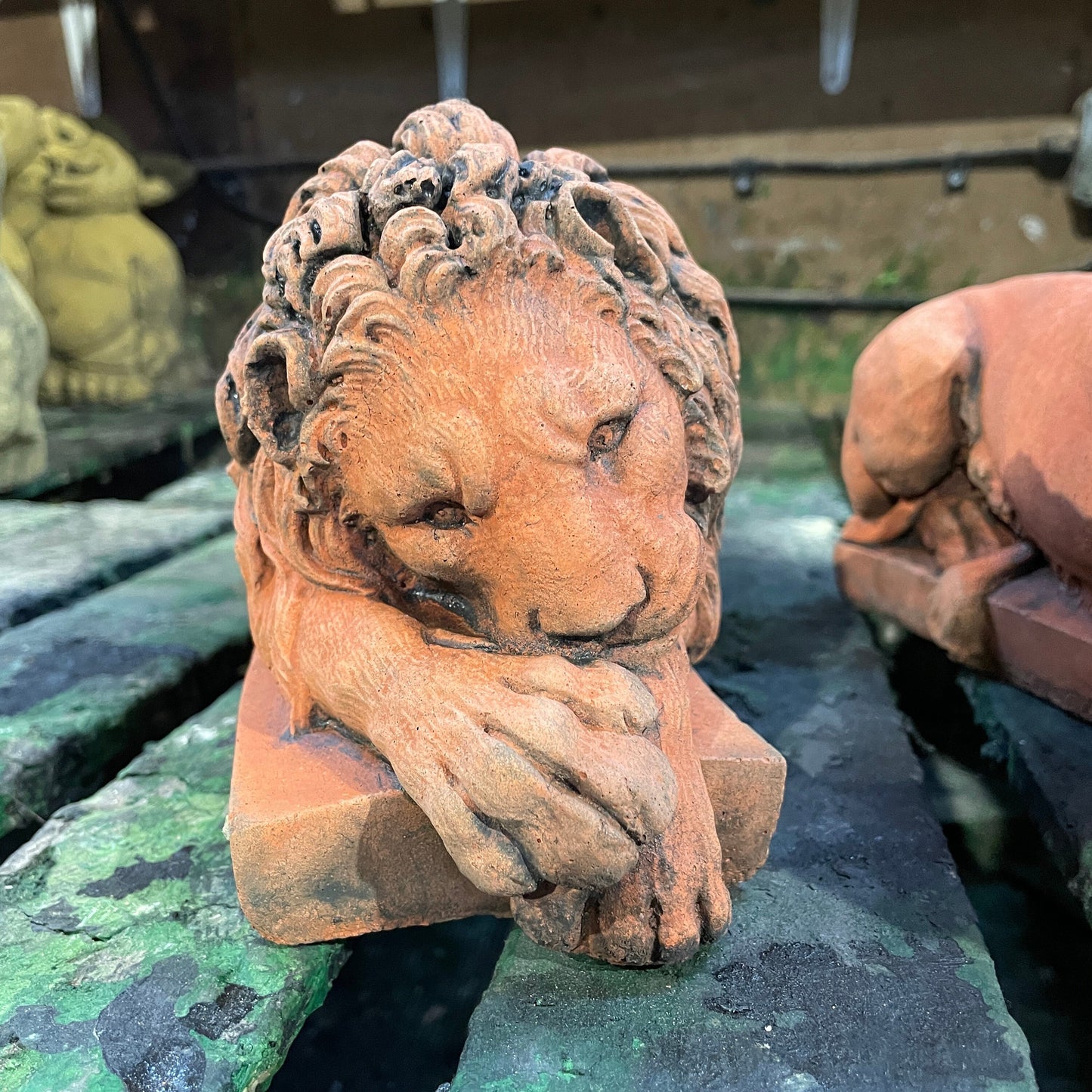 Terracotta Colour Decorative Italianesque/Romanesque Vanitas Sculpture - Architectural Salvage/Country House Chatsworth Pair of Royal Lions