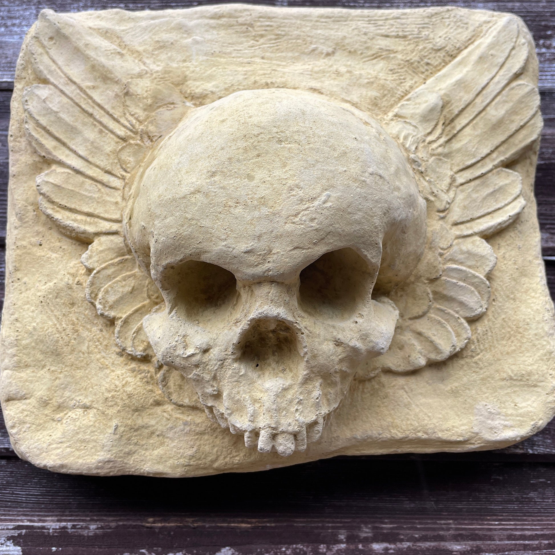 Plain Masonic Curiosity / Oddity: A Memento Mori Skull Angel Winged Cartouche Sculpture / Vanitas Gothic Death Art Curio