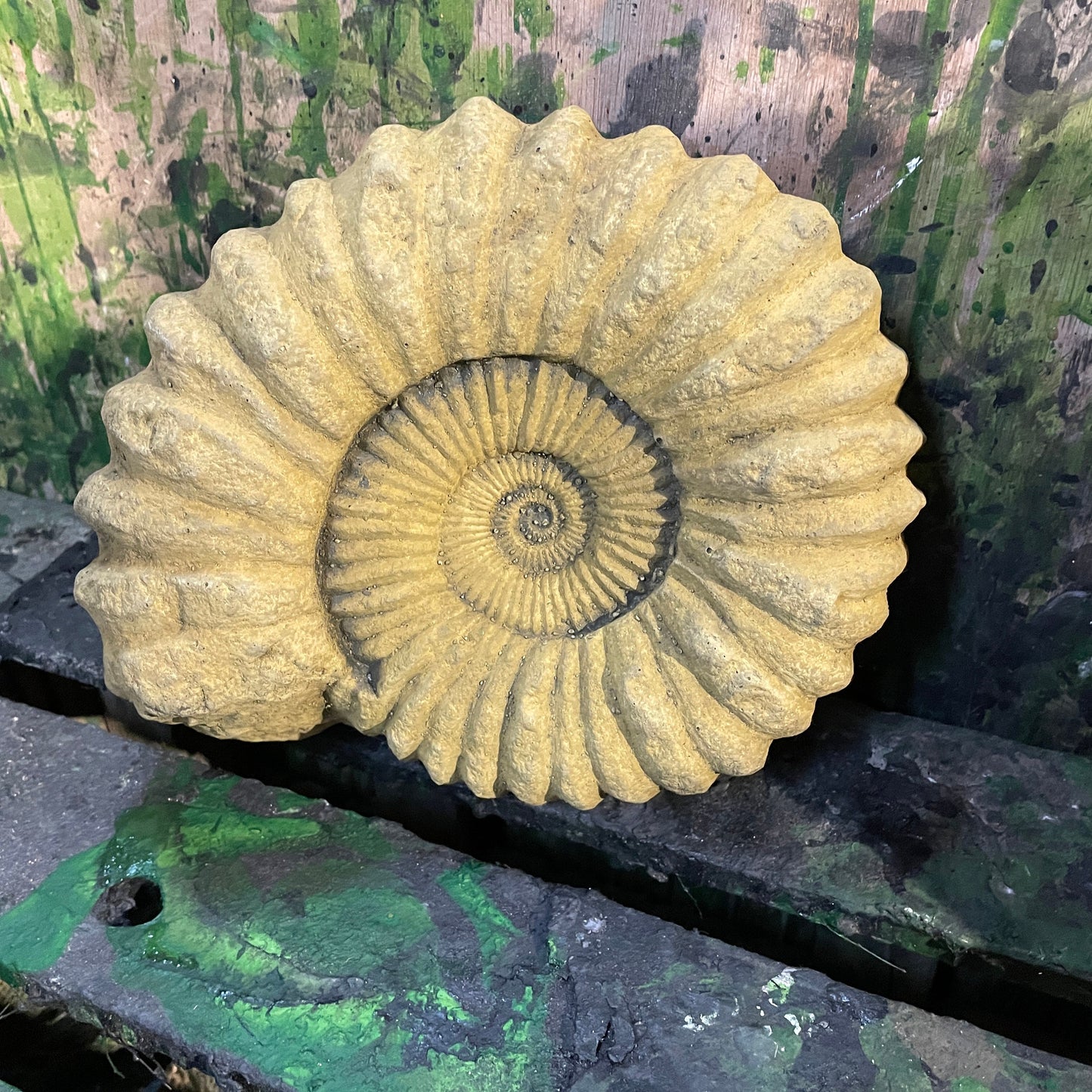 Aged Grand Tour Natural History Sculpture - A Faux Jurassic Ammonite Fossil As A Victorian Curio