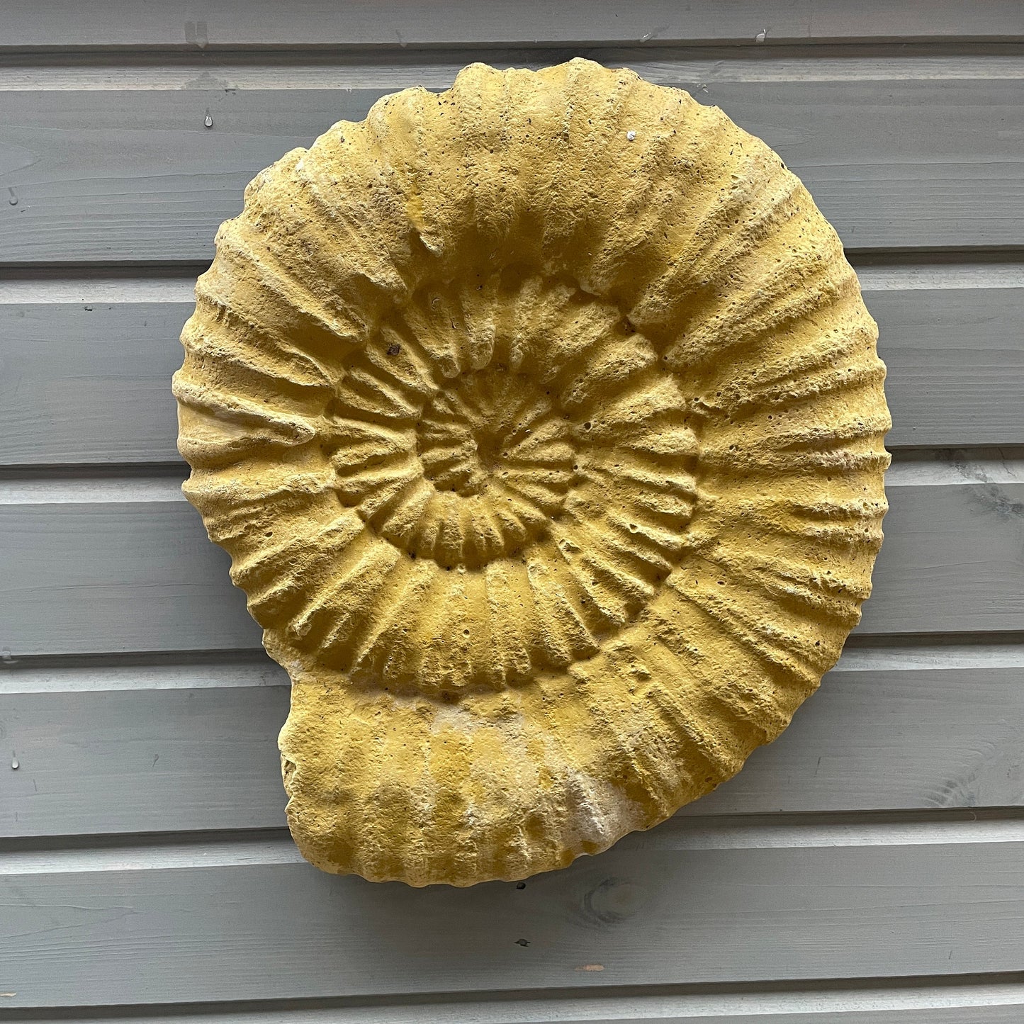 Plain Grand Tour Natural History Hanging Sculpture / Stepping Stone - A Faux Jurassic Ammonite Fossil As A Victorian Curio