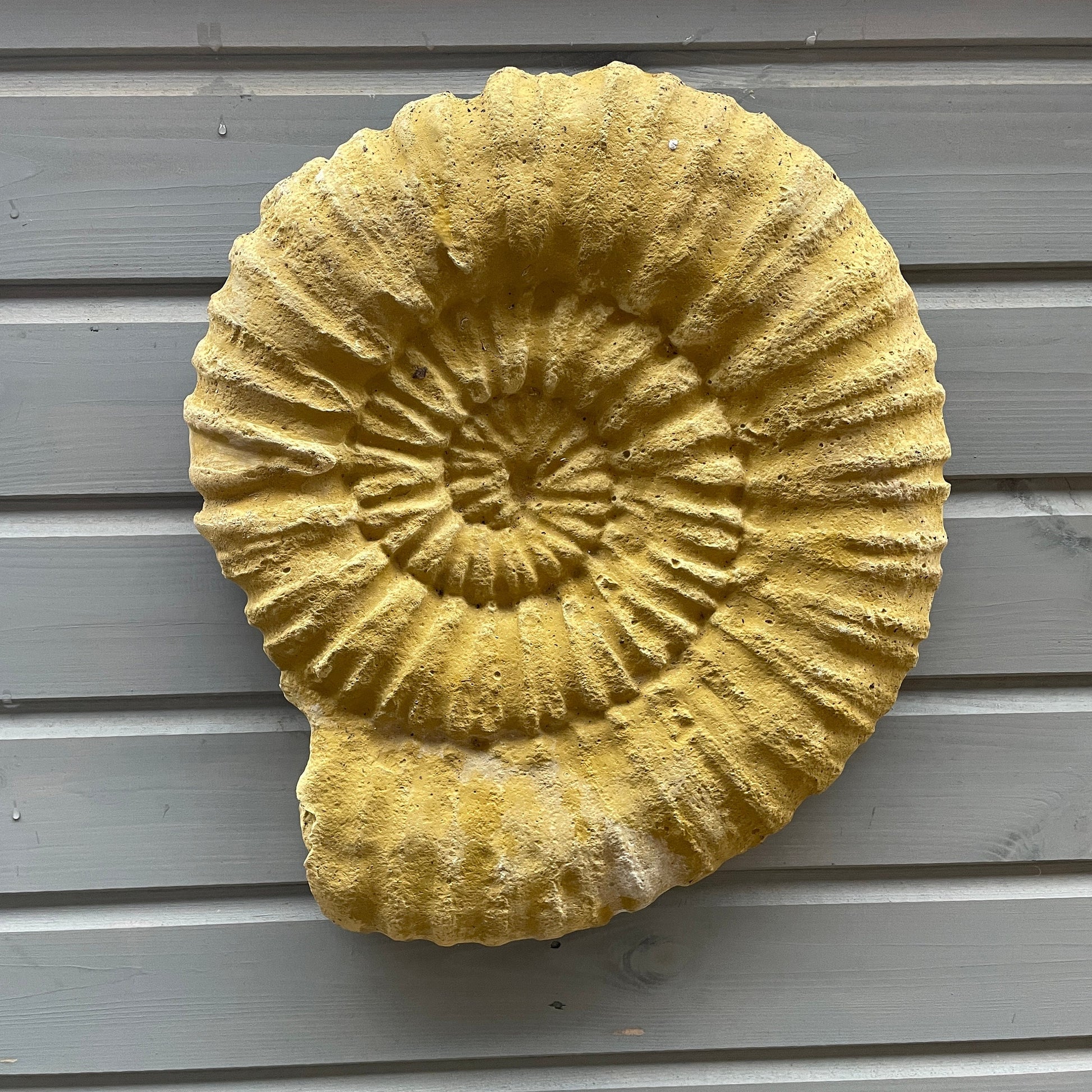 Plain Grand Tour Natural History Hanging Sculpture / Stepping Stone - A Faux Jurassic Ammonite Fossil As A Victorian Curio