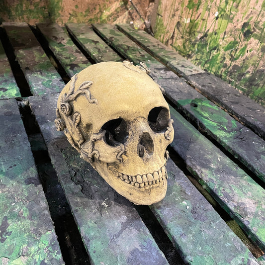 Aged Macabre Gothic Oddity: A Memento Mori Anatomic / Anatomy Skull With Vines & Roses - A Vanitas Sculpture / Death Art Curio