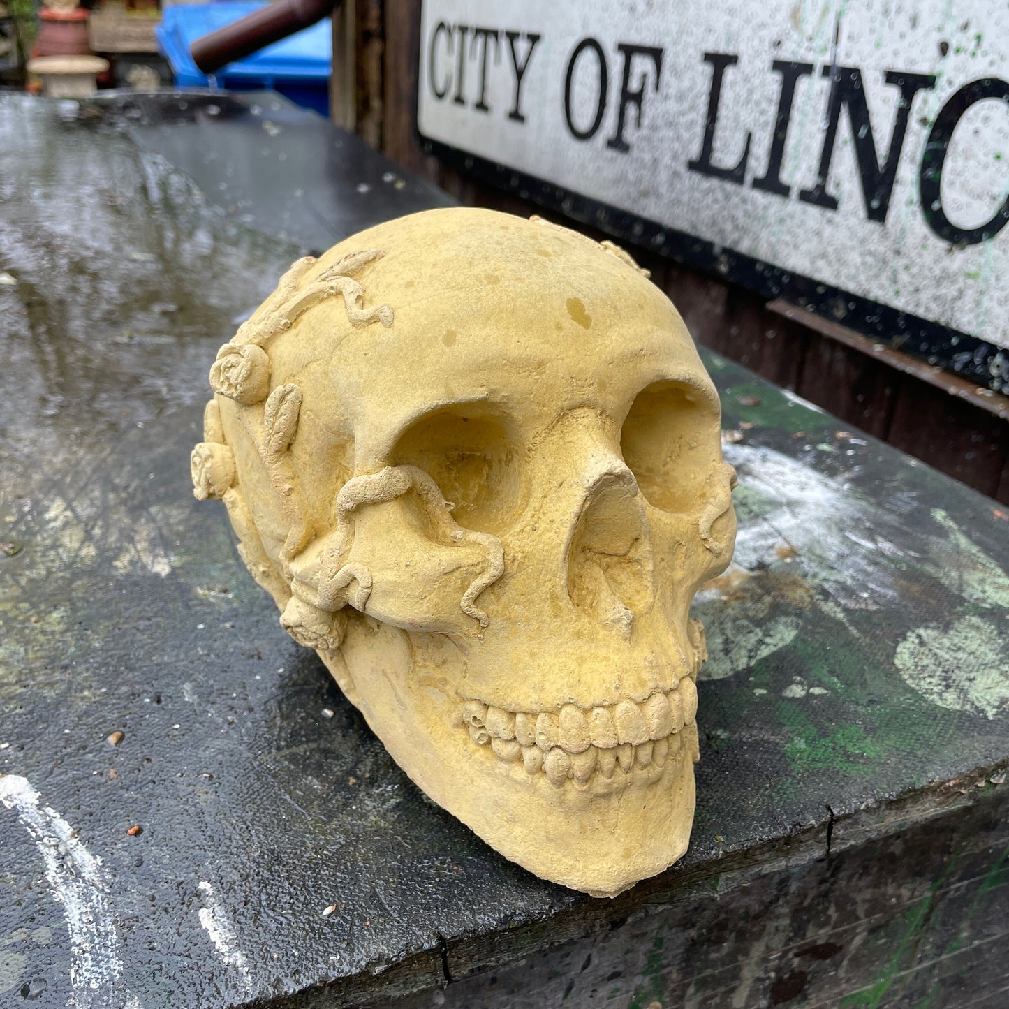 Plain Macabre Gothic Oddity: A Memento Mori Anatomic / Anatomy Skull With Vines & Roses - A Vanitas Sculpture / Death Art Curio
