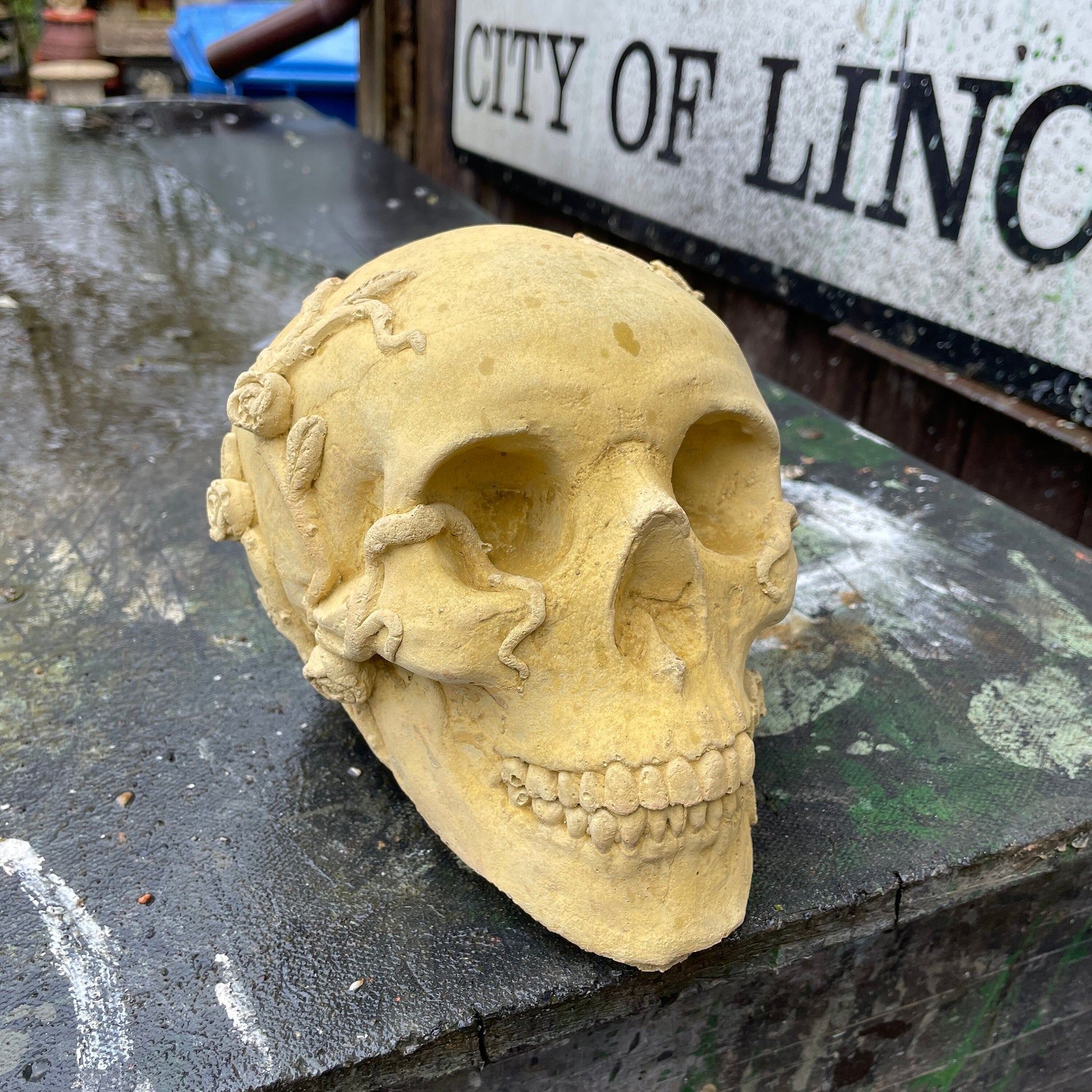 Plain Macabre Gothic Oddity: A Memento Mori Anatomic / Anatomy Skull With Vines & Roses - A Vanitas Sculpture / Death Art Curio