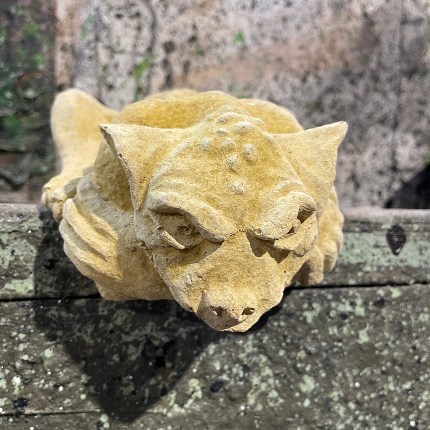 Plain Memento Mori / Medieval Style Sculpture / Gothic Church Gargoyle Wall / Shelf Hanging Ornament