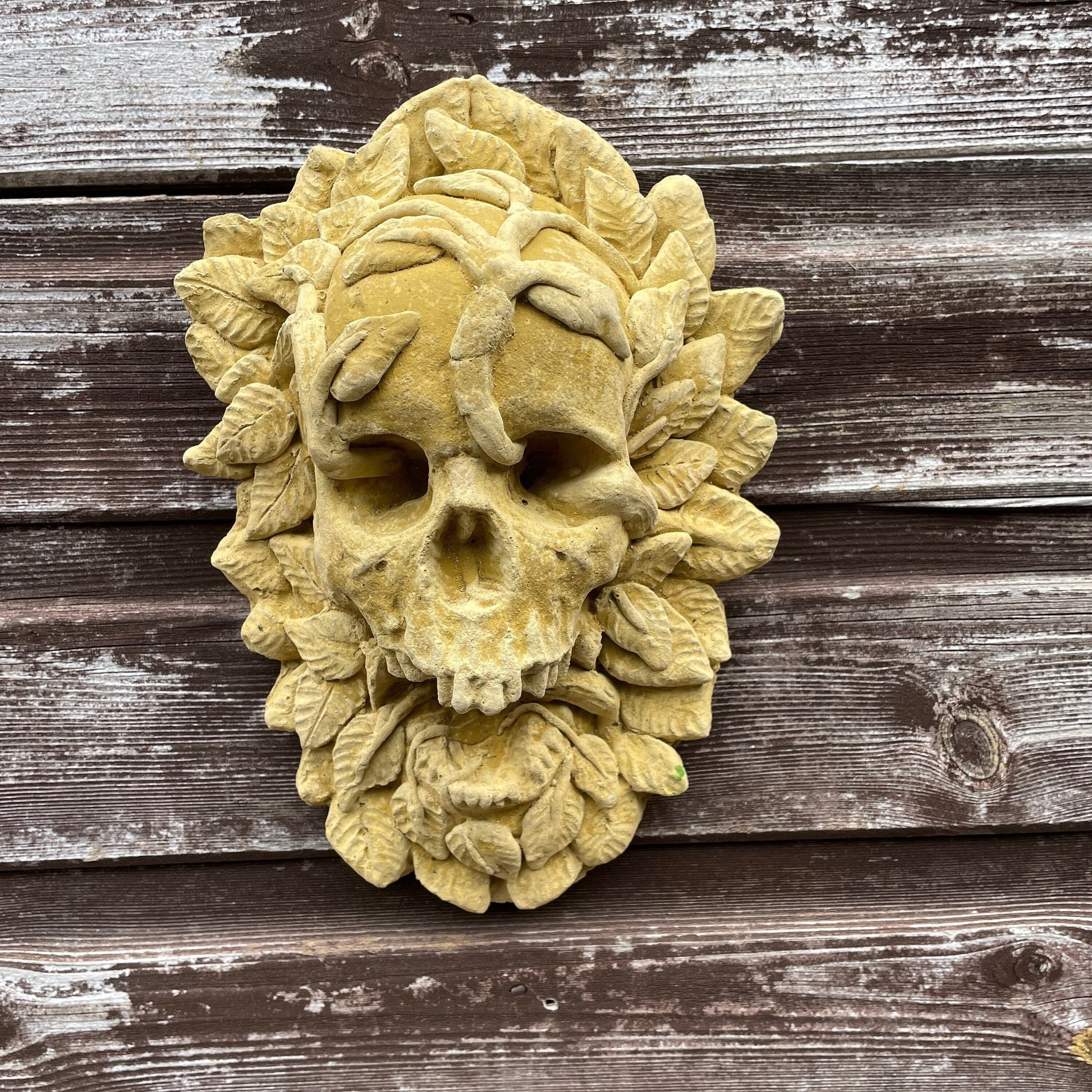 Plain Macabre Gothic Oddity: A Memento Mori Occult Spirit / Green Man Skull Sculpture / Vanitas Death Mask Art Curio