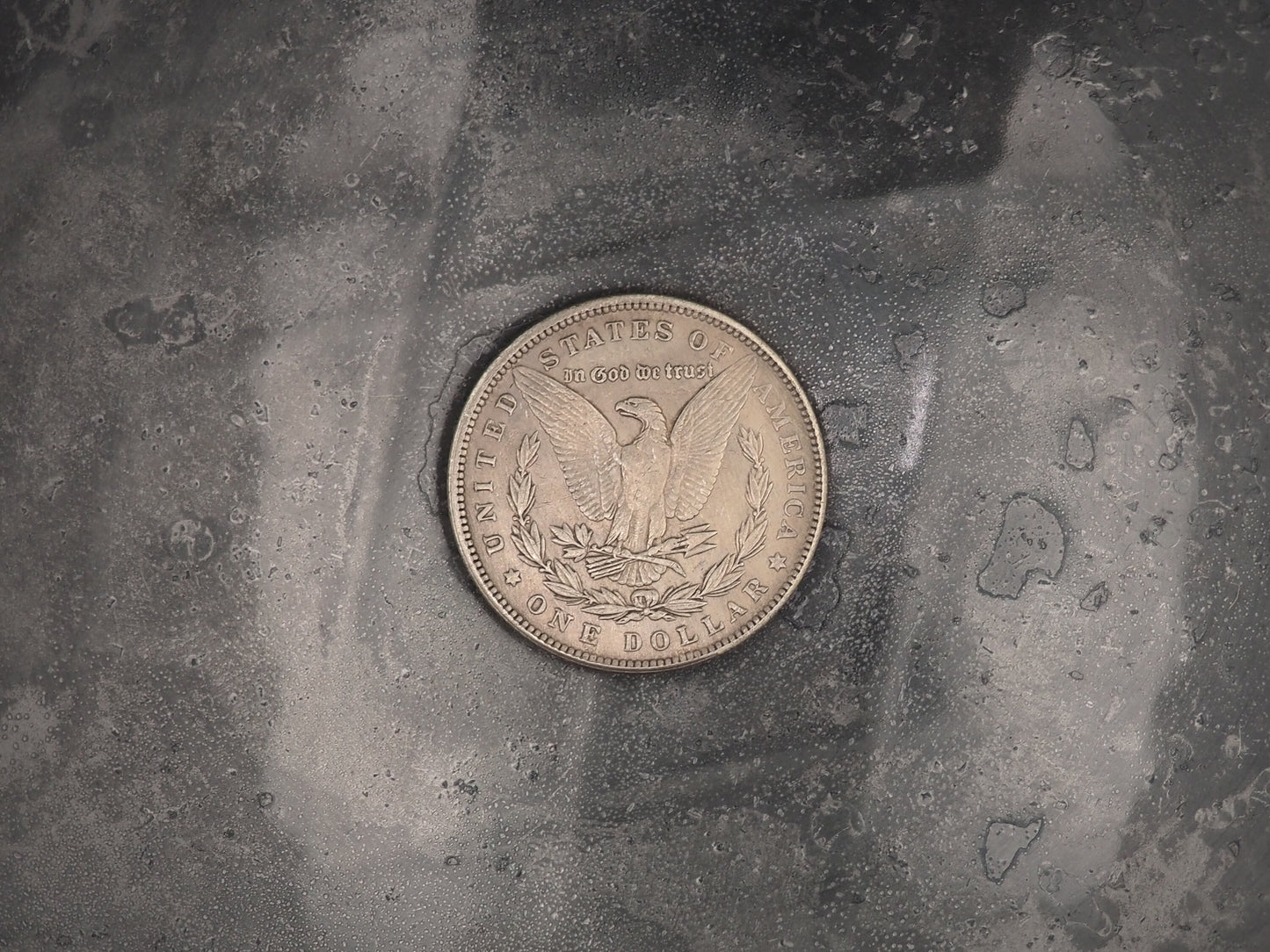 Hand Struck Forsaken Templar Warrior Skull - Holy Wars - U.S.A. Morgan Dollar .999 Plated Replica Coin/Token For A Cabinet Of Curiosities